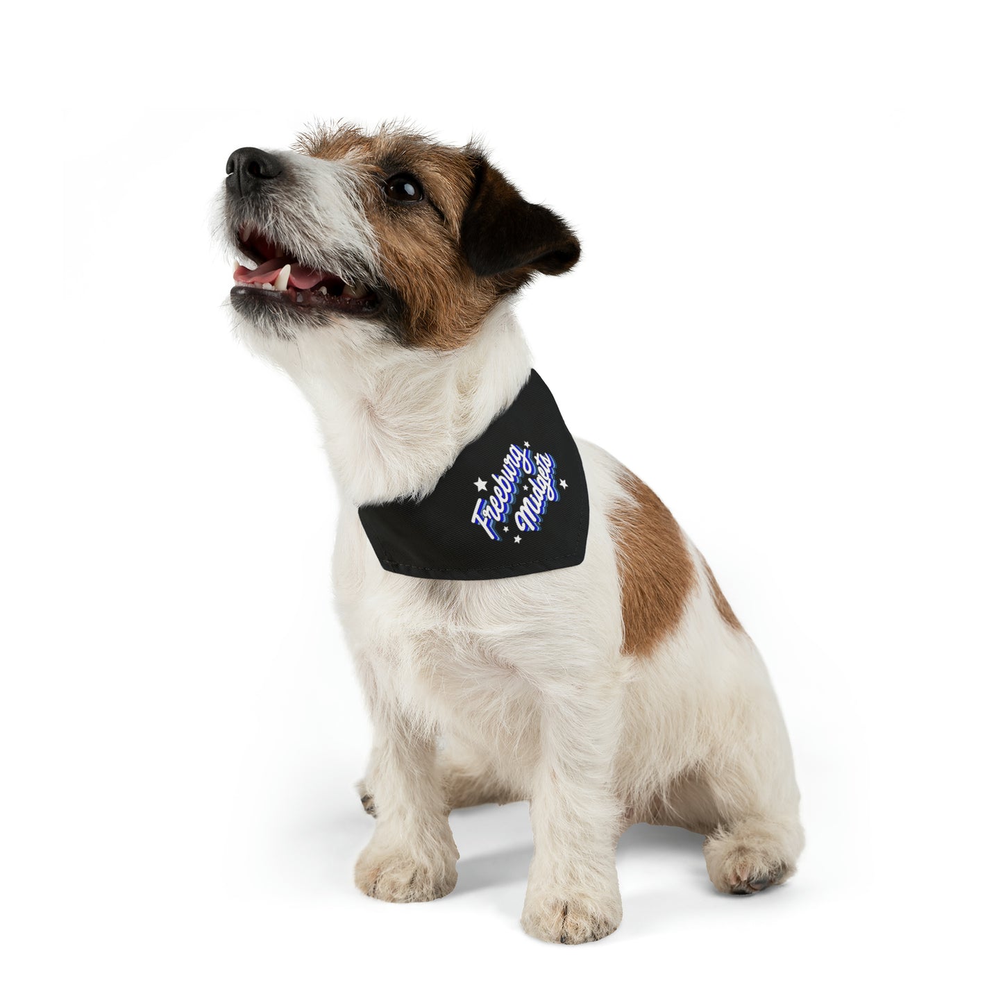 Retro Freeburg Midget Pattern Pet Bandana Collar