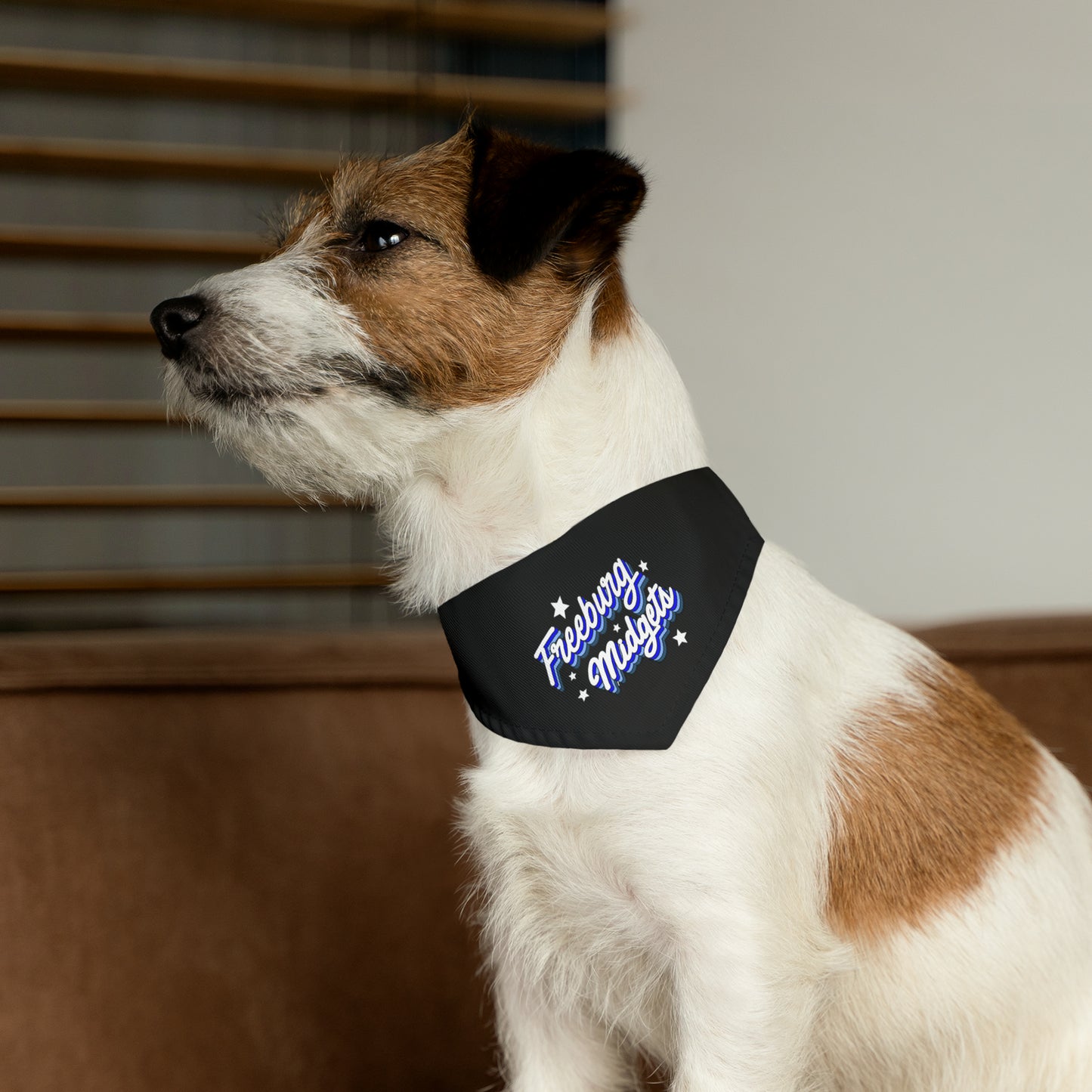 Retro Freeburg Midget Pattern Pet Bandana Collar