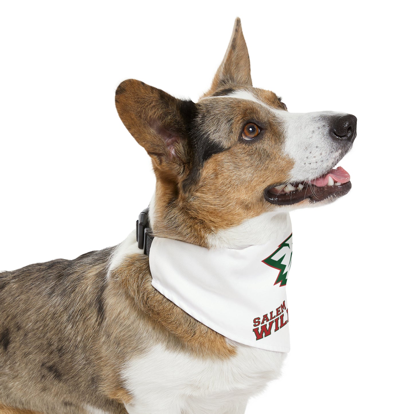 Salem Wildcats Pet Bandana Collar