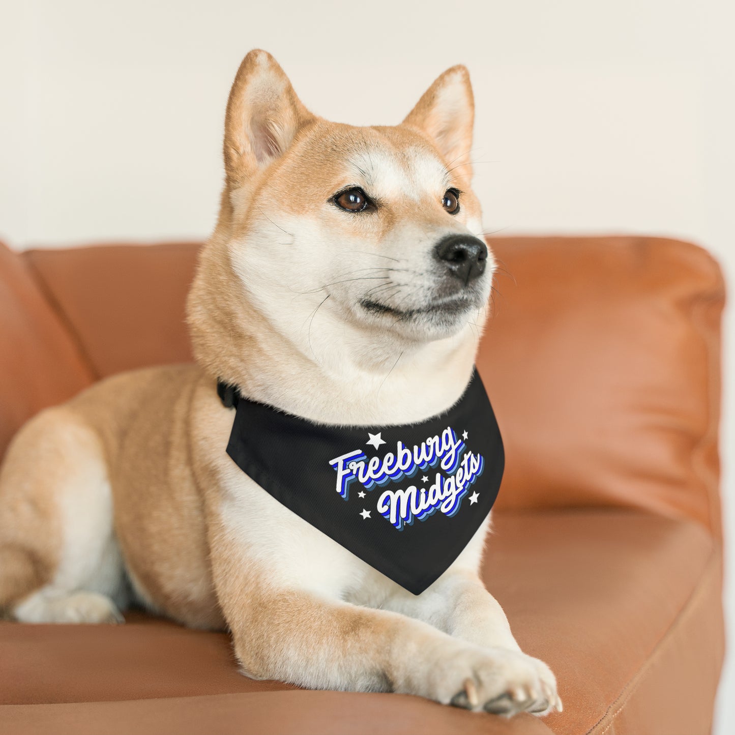 Retro Freeburg Midget Pattern Pet Bandana Collar