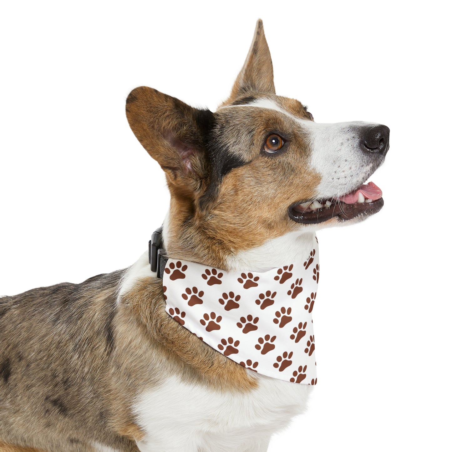 Brown Pet Paw Pattern Pet Bandana Collar with clasp
