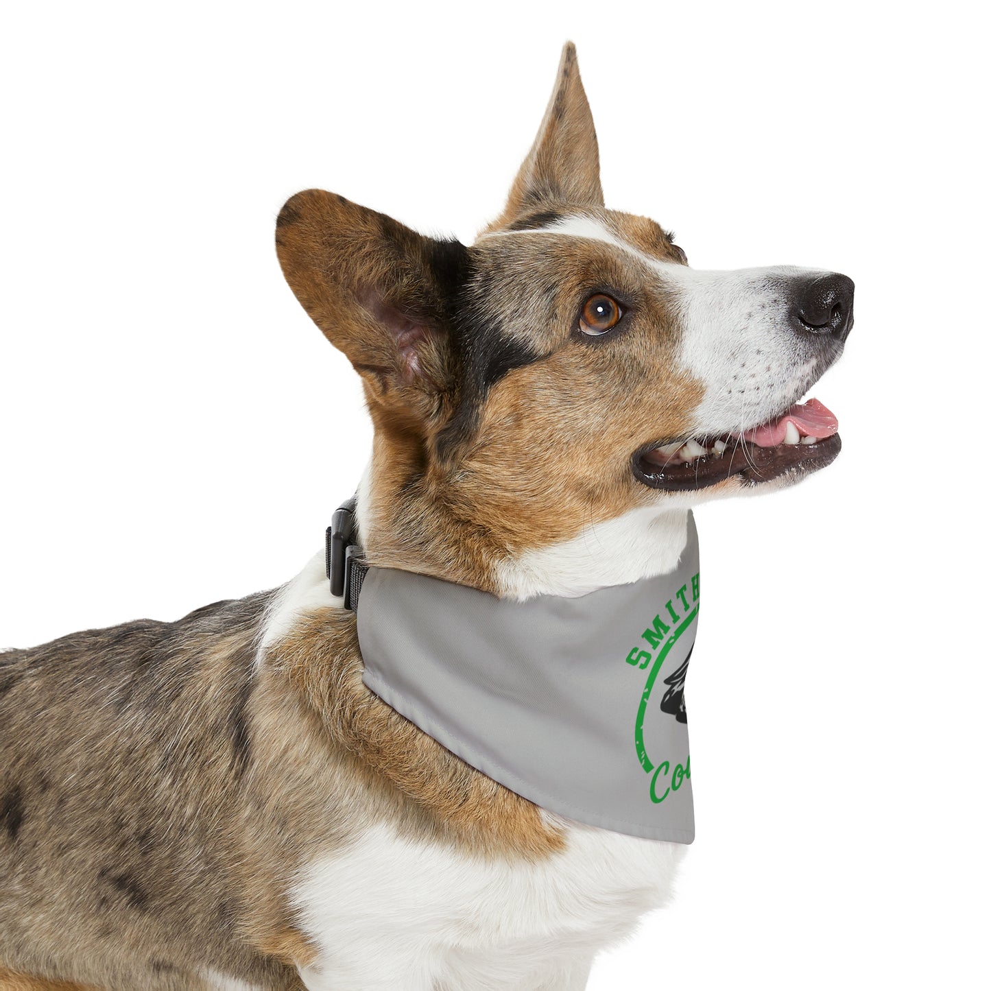 Smithton Cougars Pattern Pet Bandana Collar