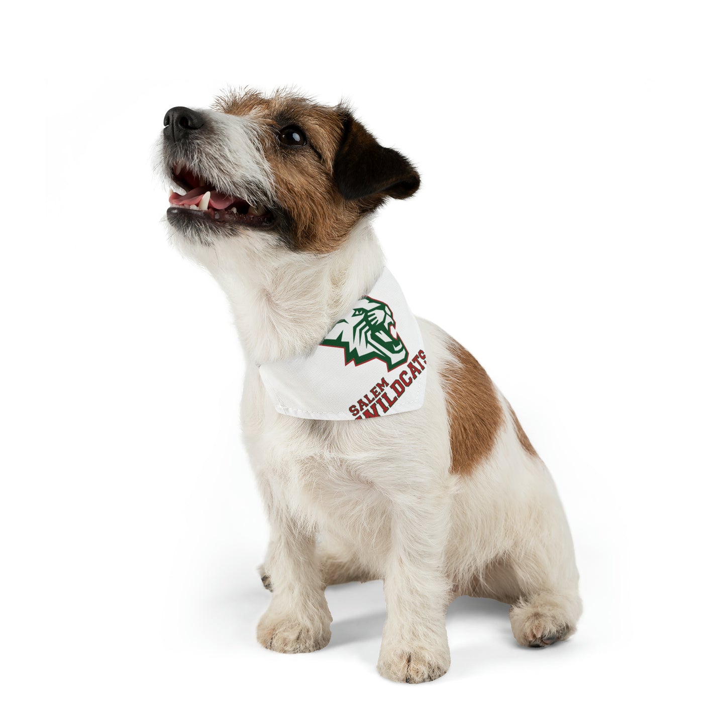 Salem Wildcats Pet Bandana Collar