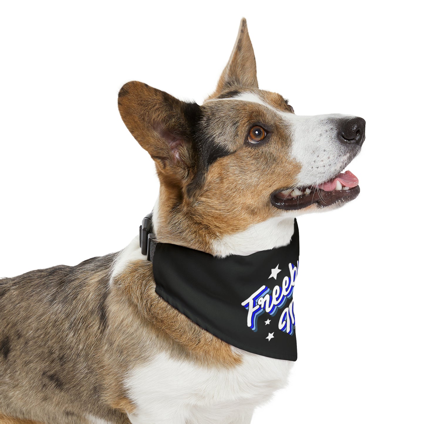 Retro Freeburg Midget Pattern Pet Bandana Collar