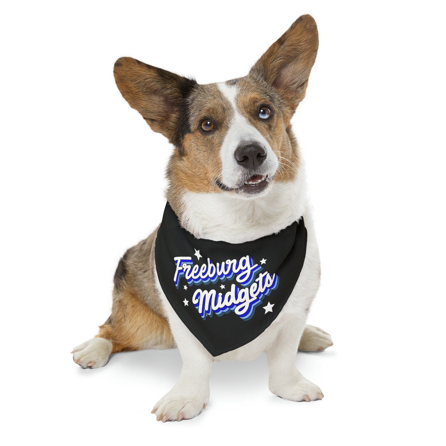 Retro Freeburg Midget Pattern Pet Bandana Collar