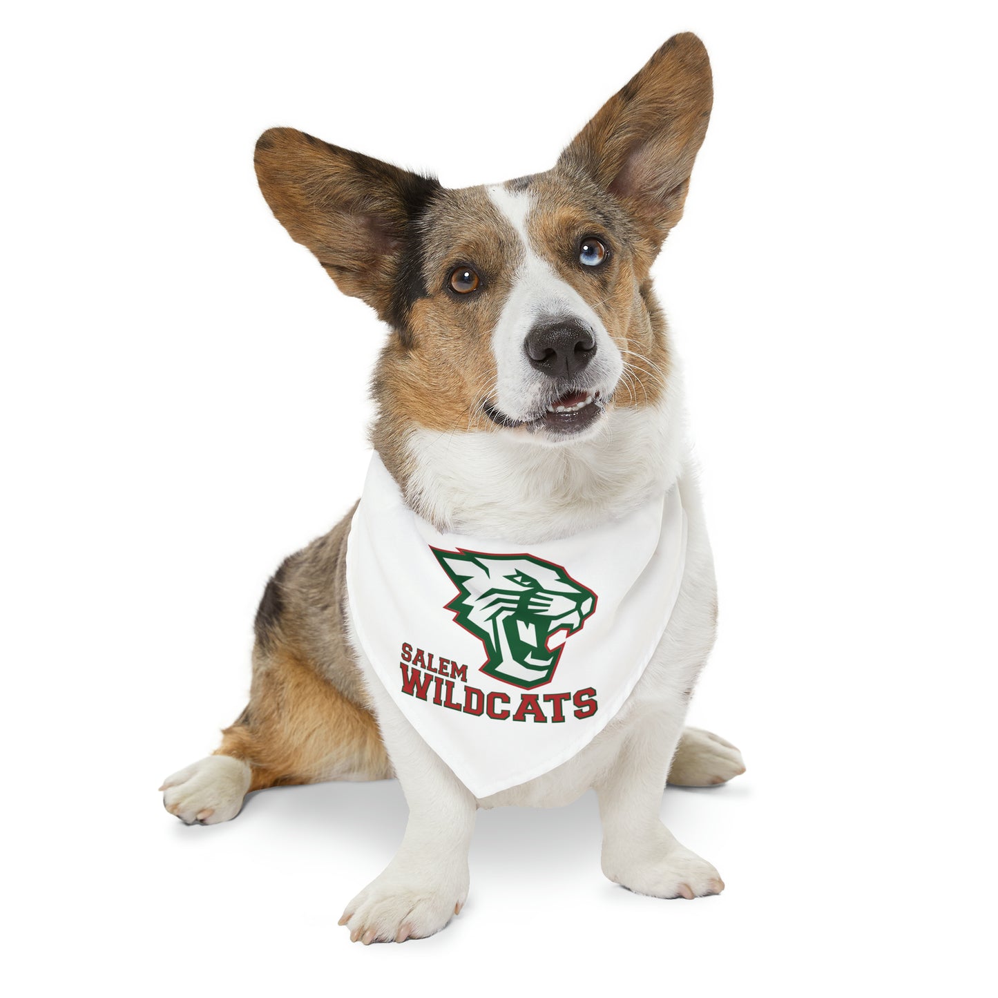 Salem Wildcats Pet Bandana Collar