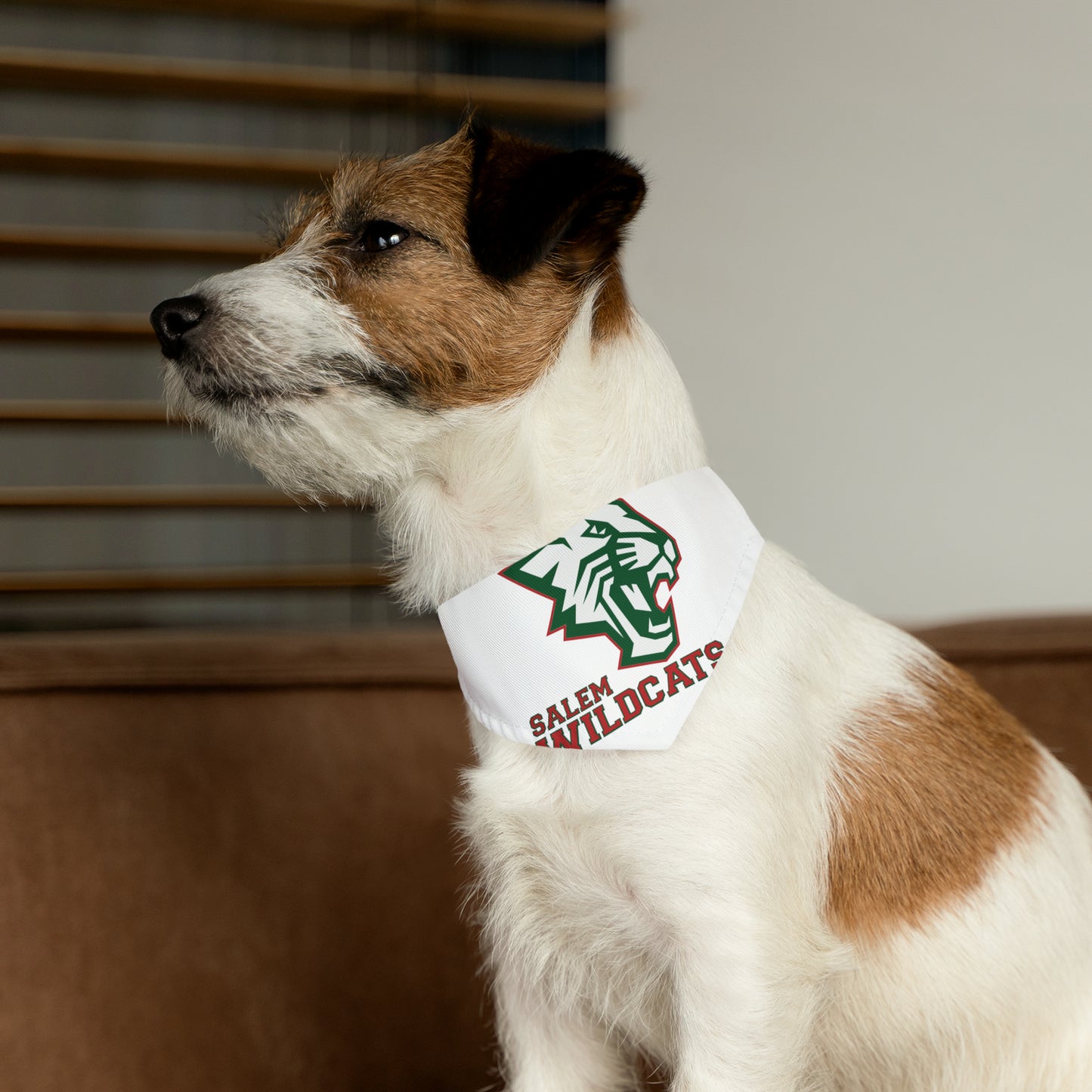 Salem Wildcats Pet Bandana Collar