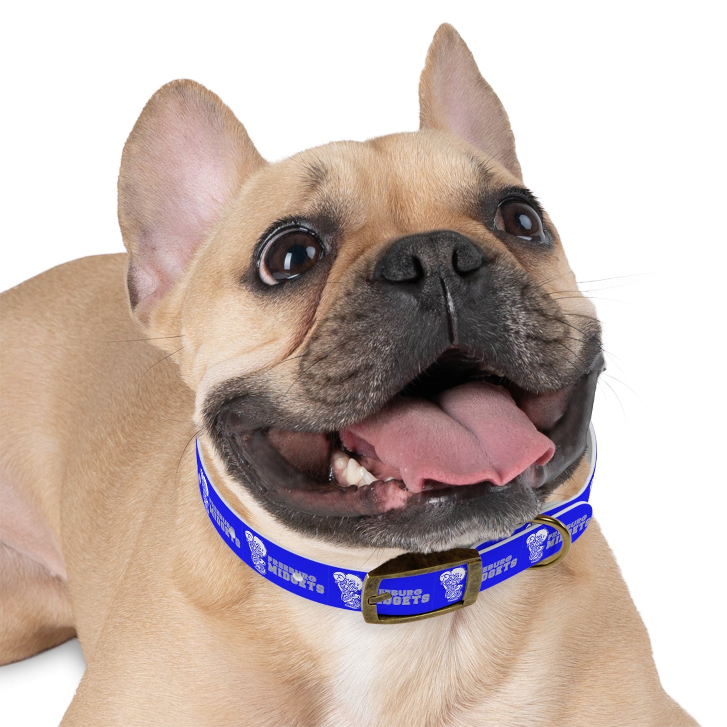 Freeburg Midgets Dog Collar