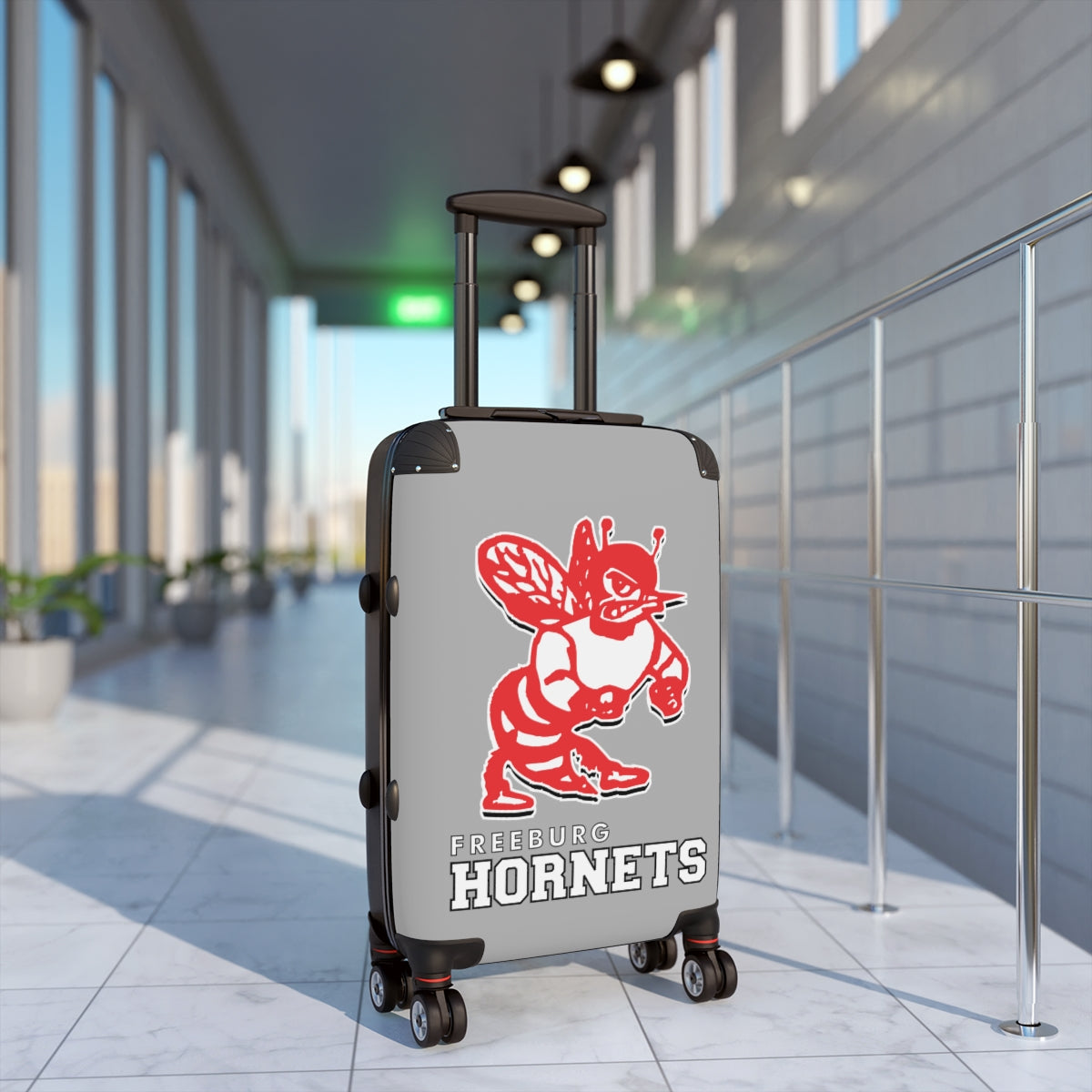 Freeburg Hornet Suitcases - Gray Front/ Black Back