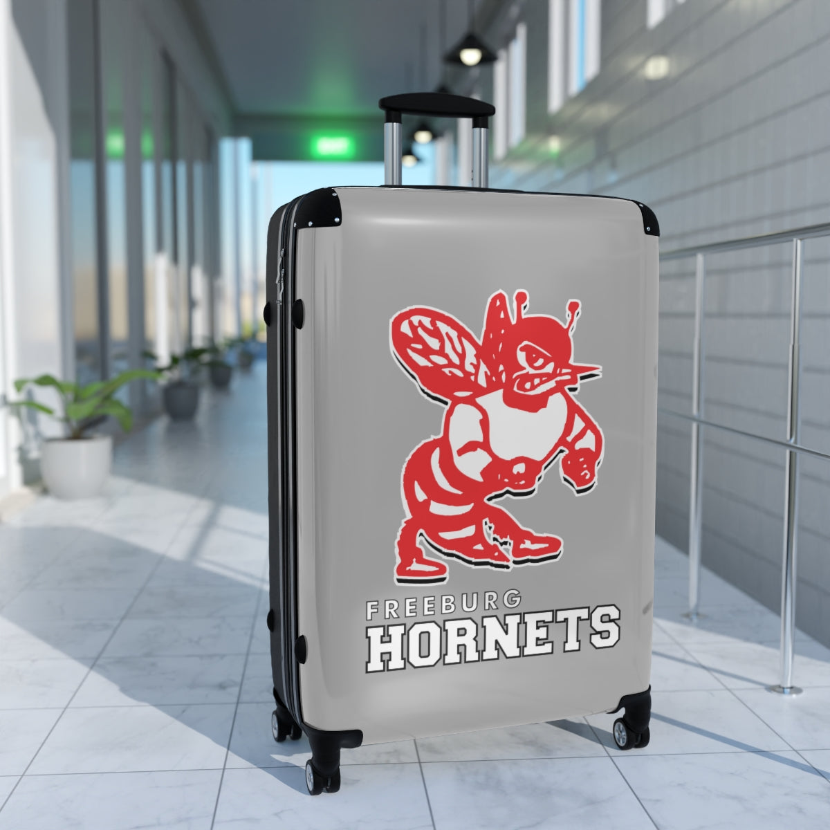 Freeburg Hornet Suitcases - Gray Front/ Black Back