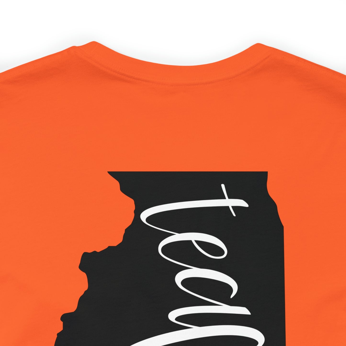 Illinois Teacher T-Shirt