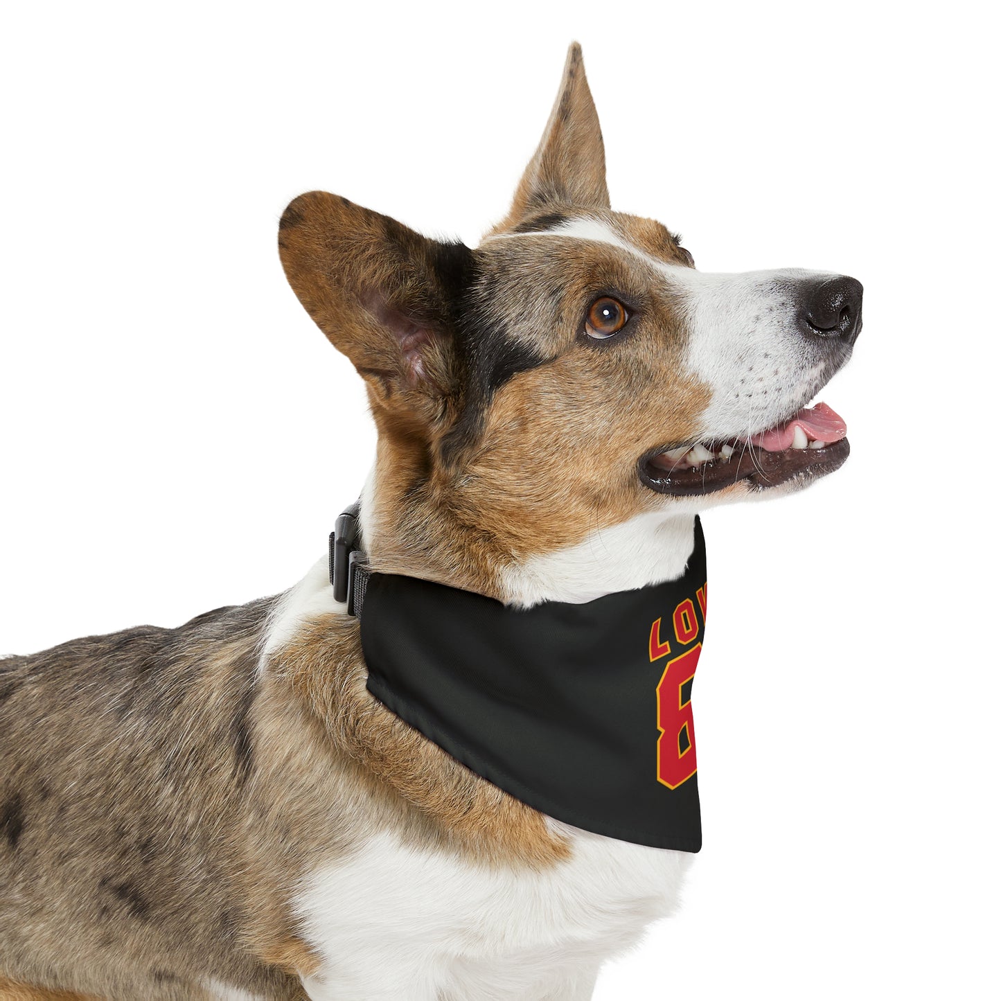 Lover 87 Swift and Kelce Valentine's Pet Bandana Collar with clasp