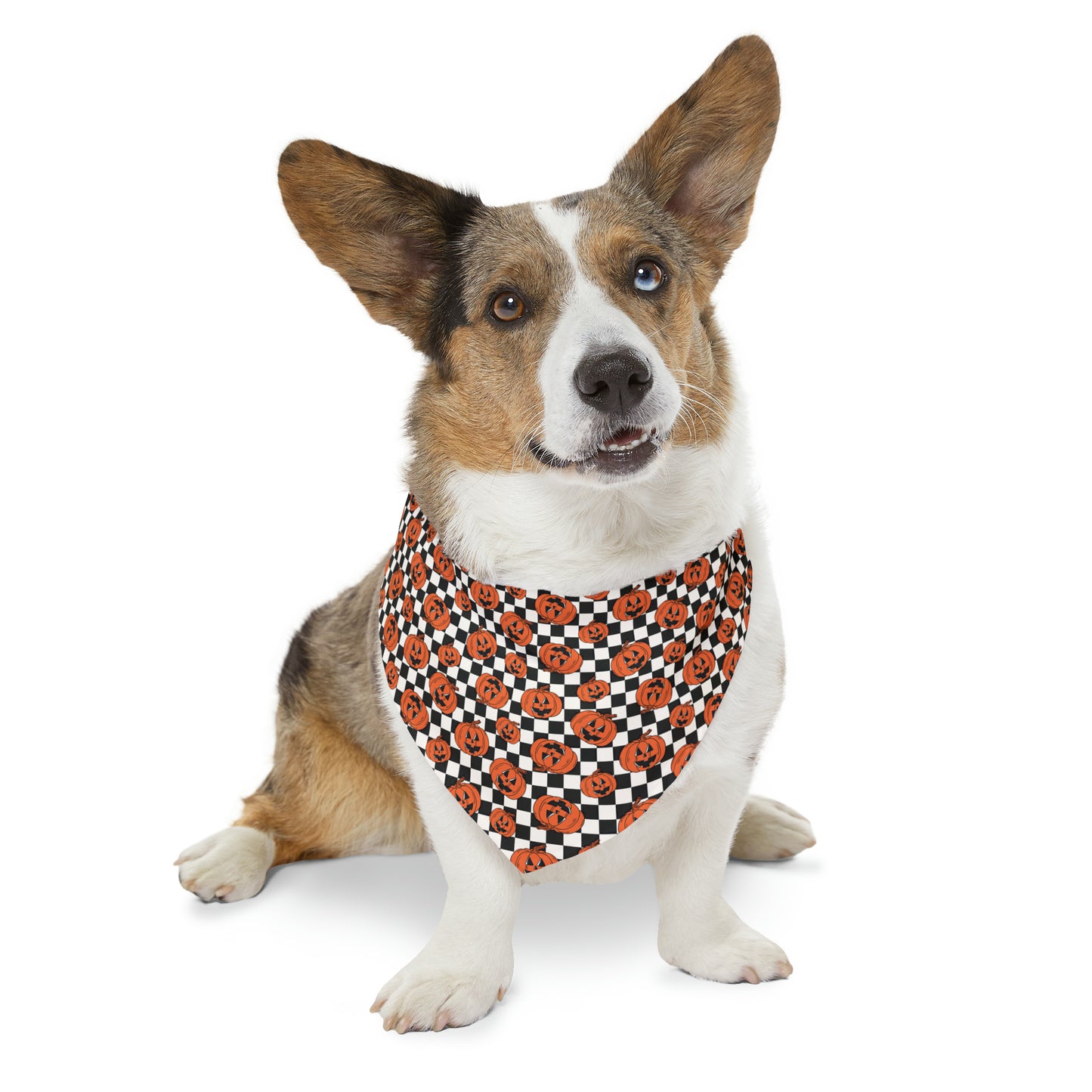 Halloween Jack-O-Lantern Pumpkin Pet Bandana Collar