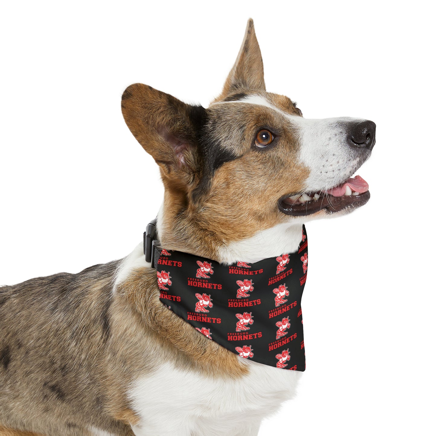 Freeburg Hornets Pattern Pet Bandana Collar