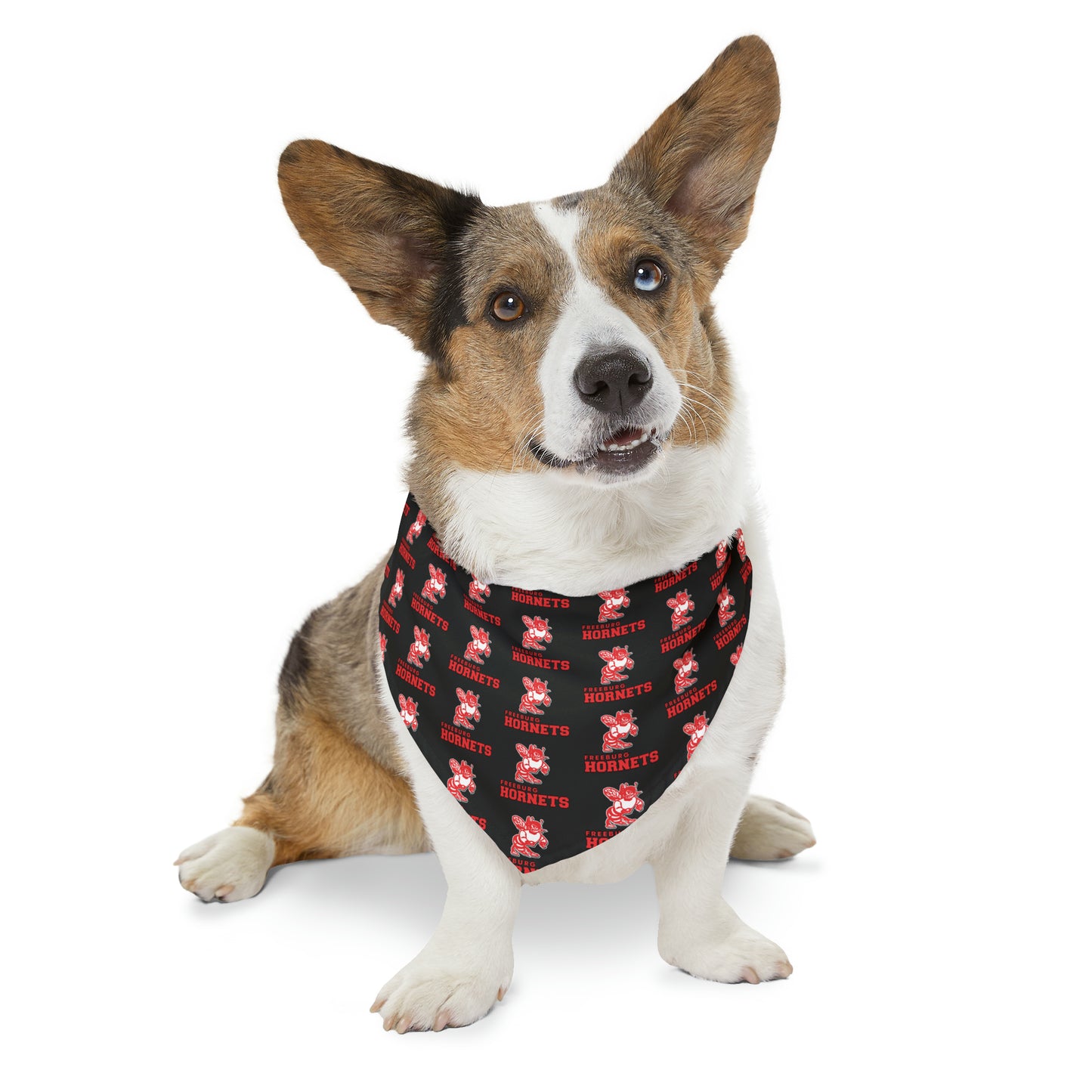 Freeburg Hornets Pattern Pet Bandana Collar