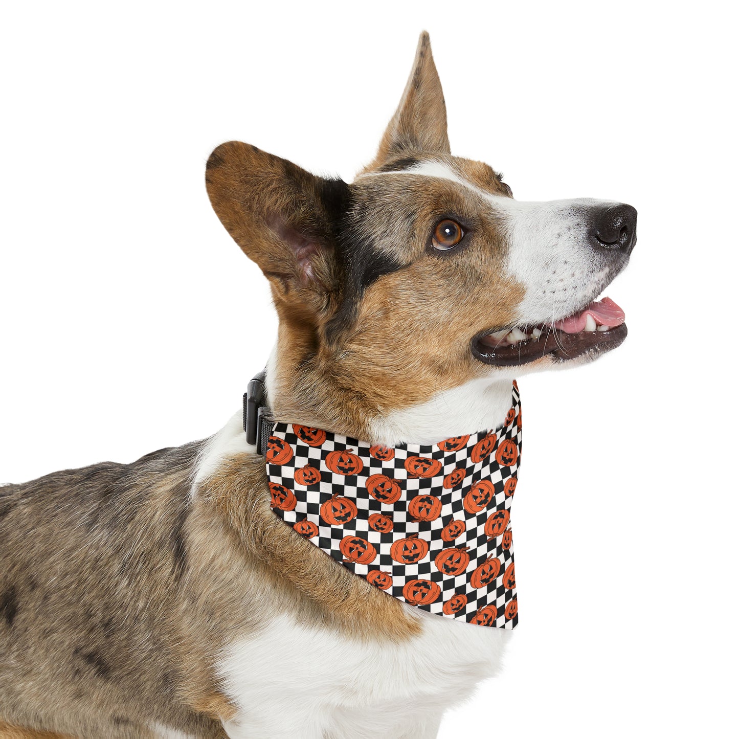 Halloween Jack-O-Lantern Pumpkin Pet Bandana Collar