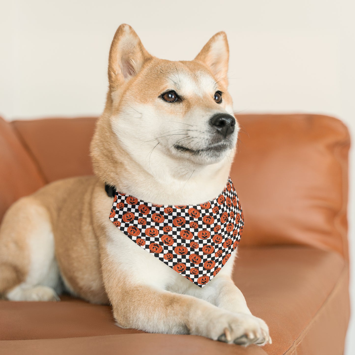 Halloween Jack-O-Lantern Pumpkin Pet Bandana Collar