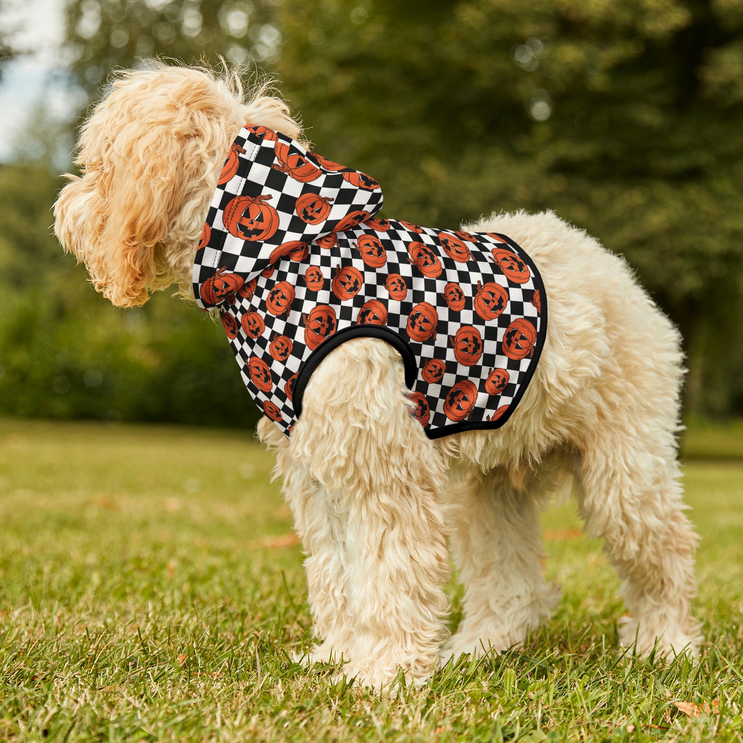 Halloween Jack-O-Lantern Pumpkin Pet Hoodie