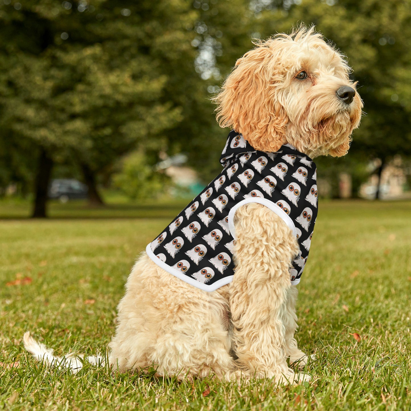 Halloween Ghost Pet Hoodie