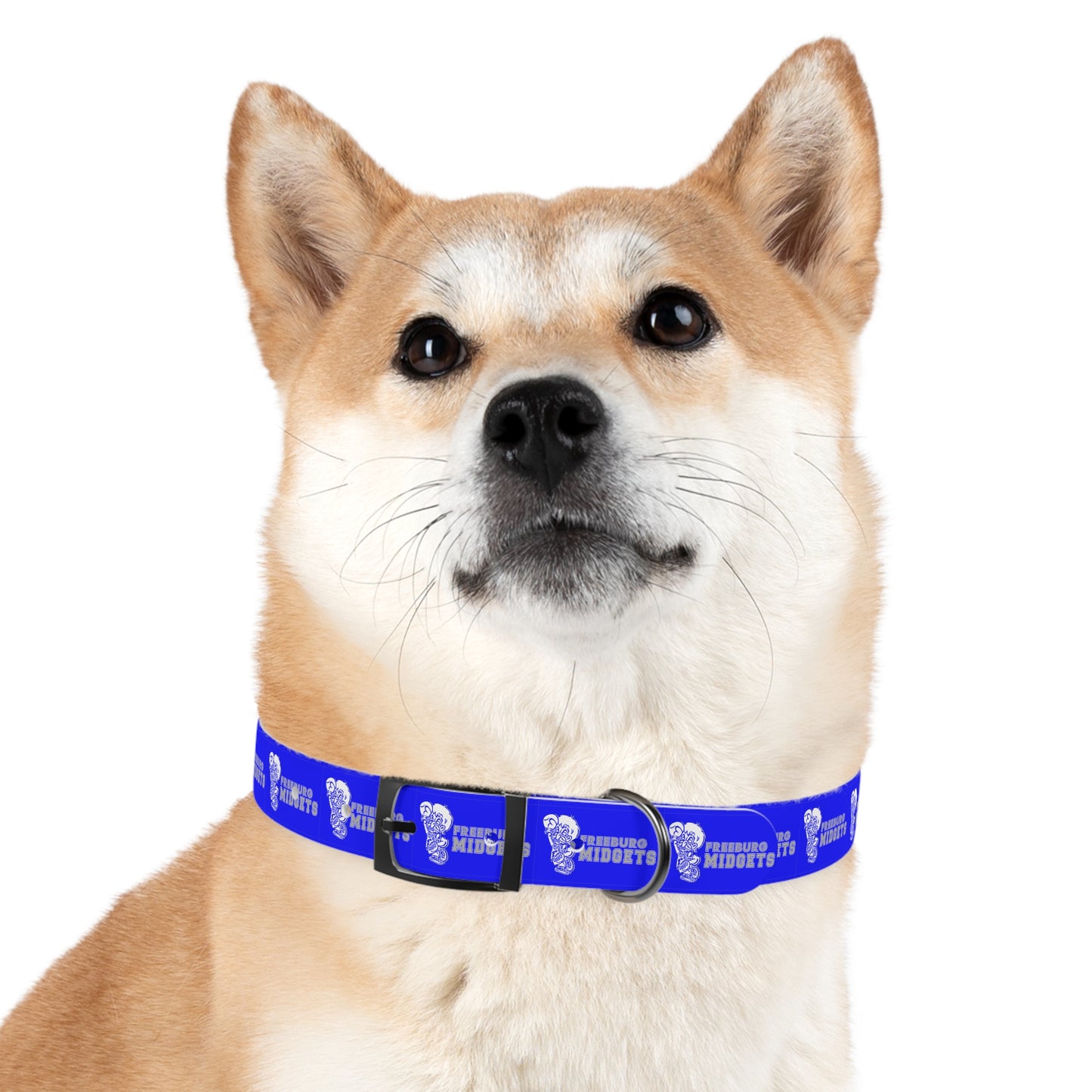 Freeburg Midgets Dog Collar