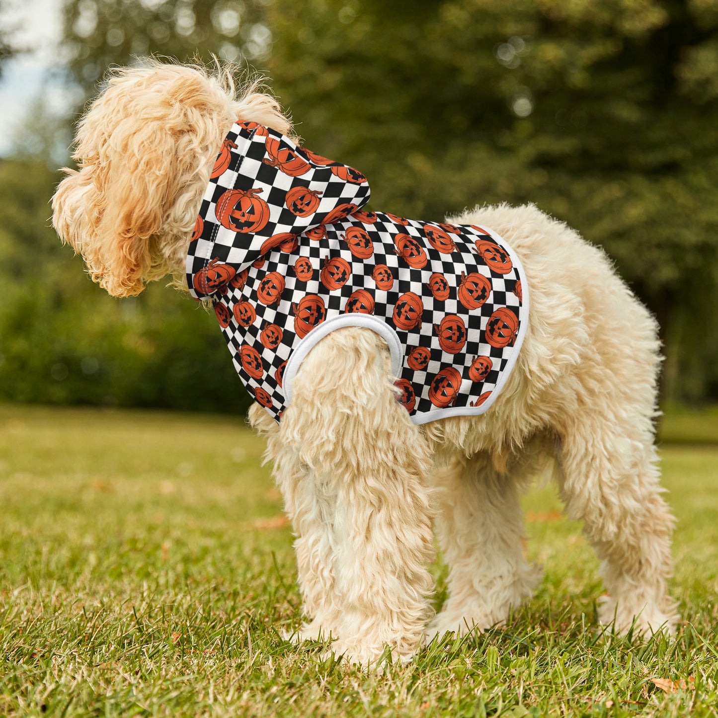 Halloween Jack-O-Lantern Pumpkin Pet Hoodie