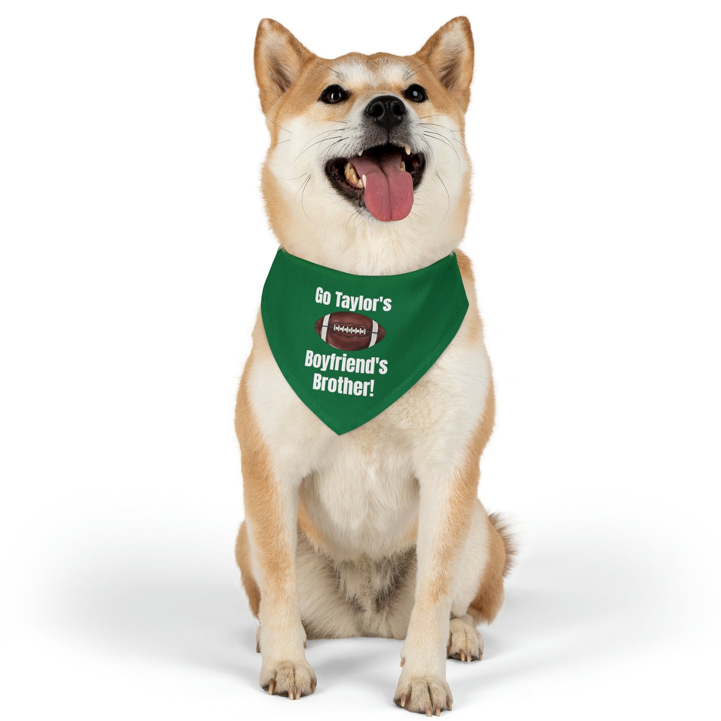 Go Taylor's Boyfriend's Brother Pet Bandana Collar - GREEN