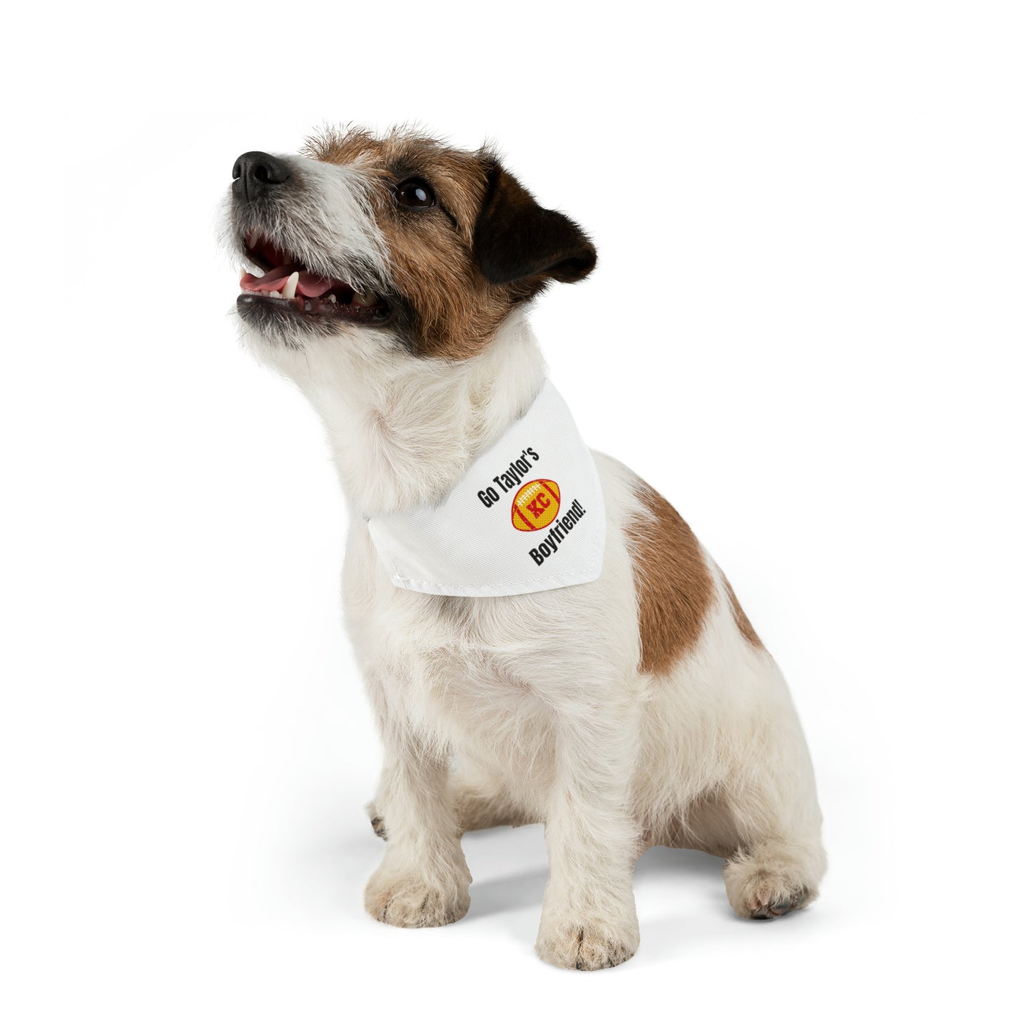 Go Taylor's Boyfriend Swift and Kelce Pet Bandana Collar - WHITE