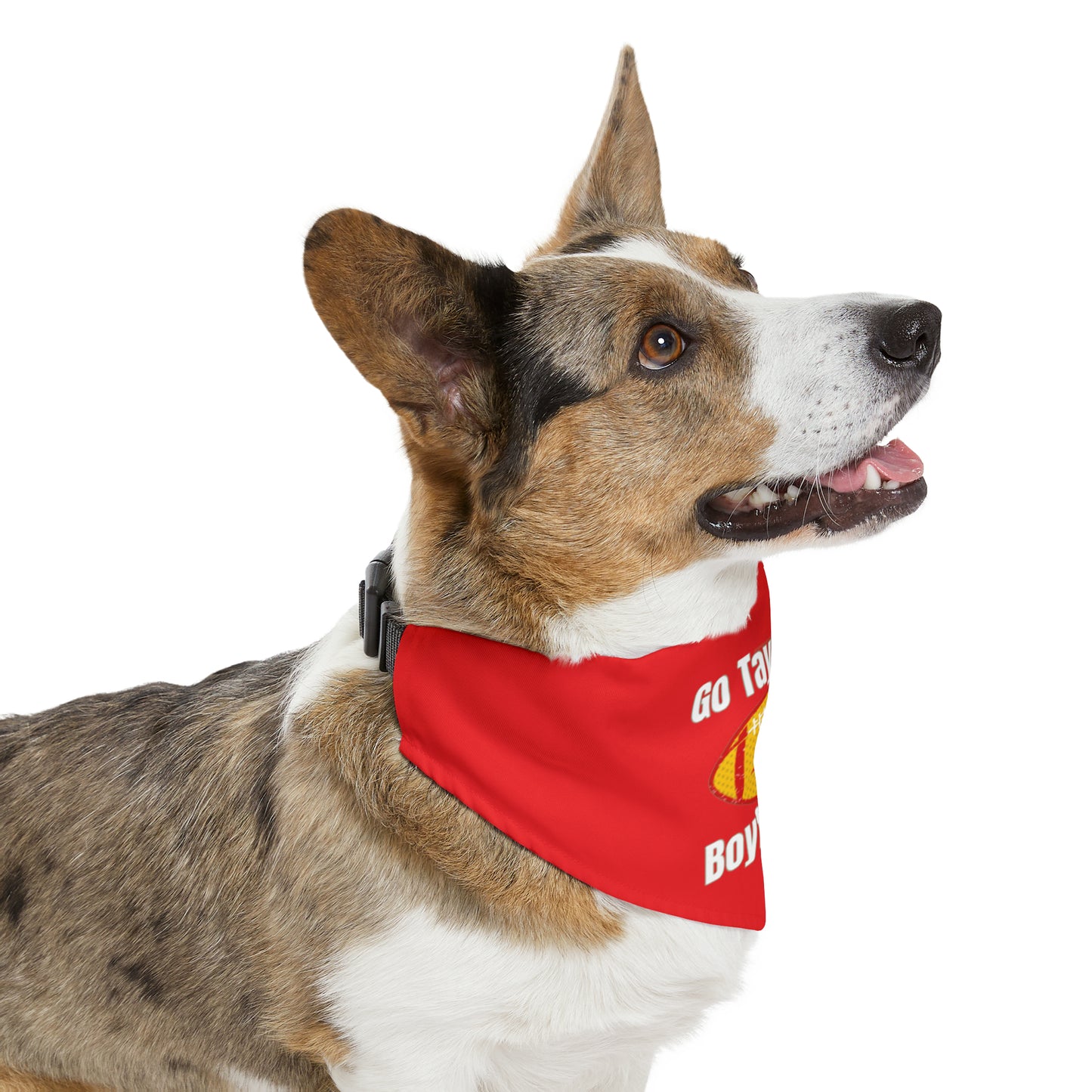 Go Taylor's Boyfriend Chiefs Pet Bandana Clip in Back Collar