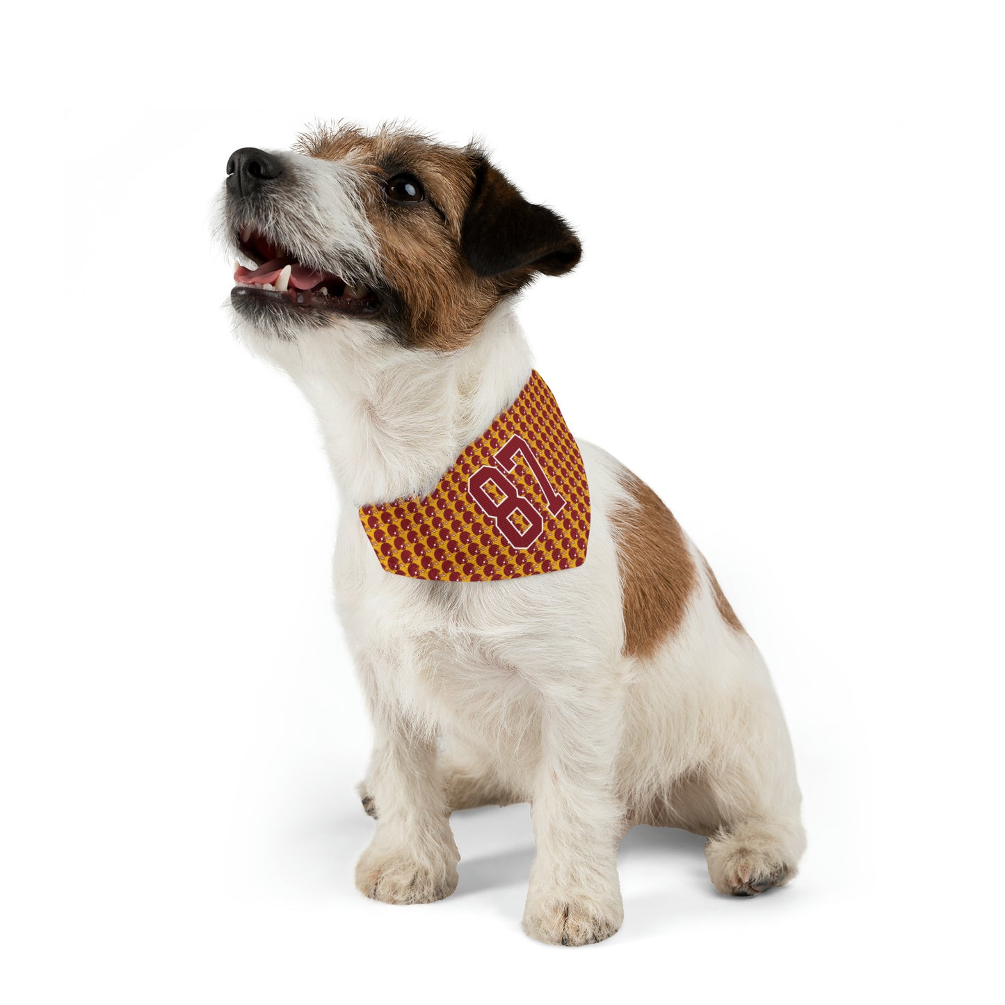 Football Helmet Pattern 87 Swift and Kelce Pet Bandana Collar