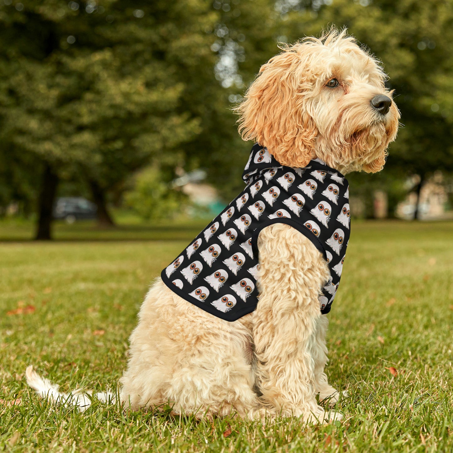 Halloween Ghost Pet Hoodie