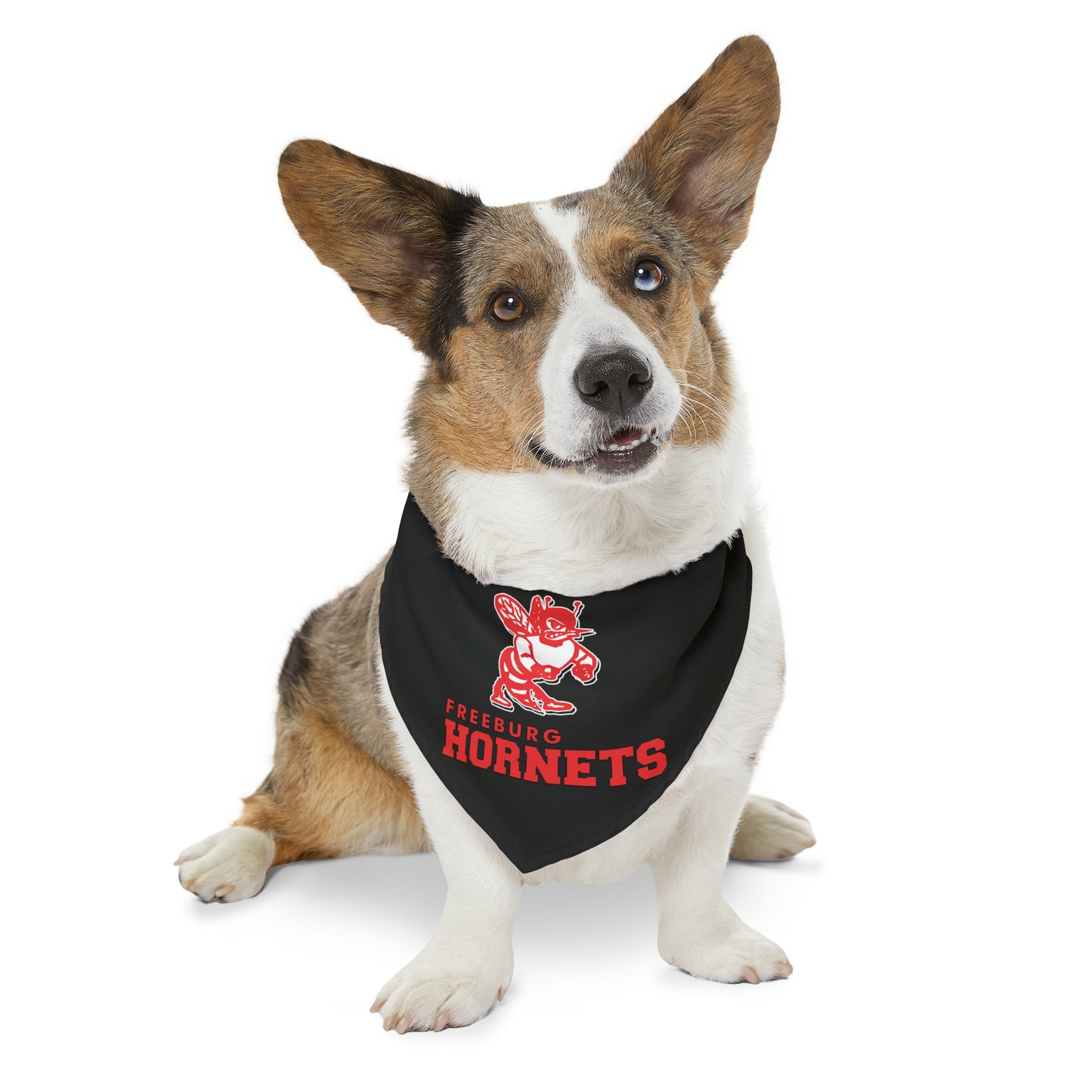 Freeburg Hornets Pet Bandana Collar