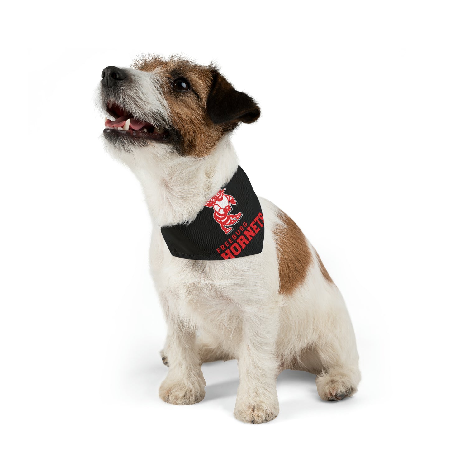 Freeburg Hornets Pet Bandana Collar