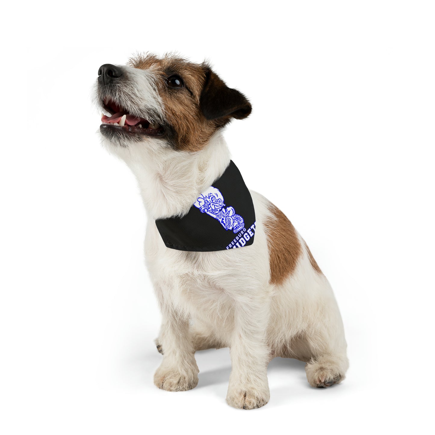 Freeburg Midget Pattern Pet Bandana Collar