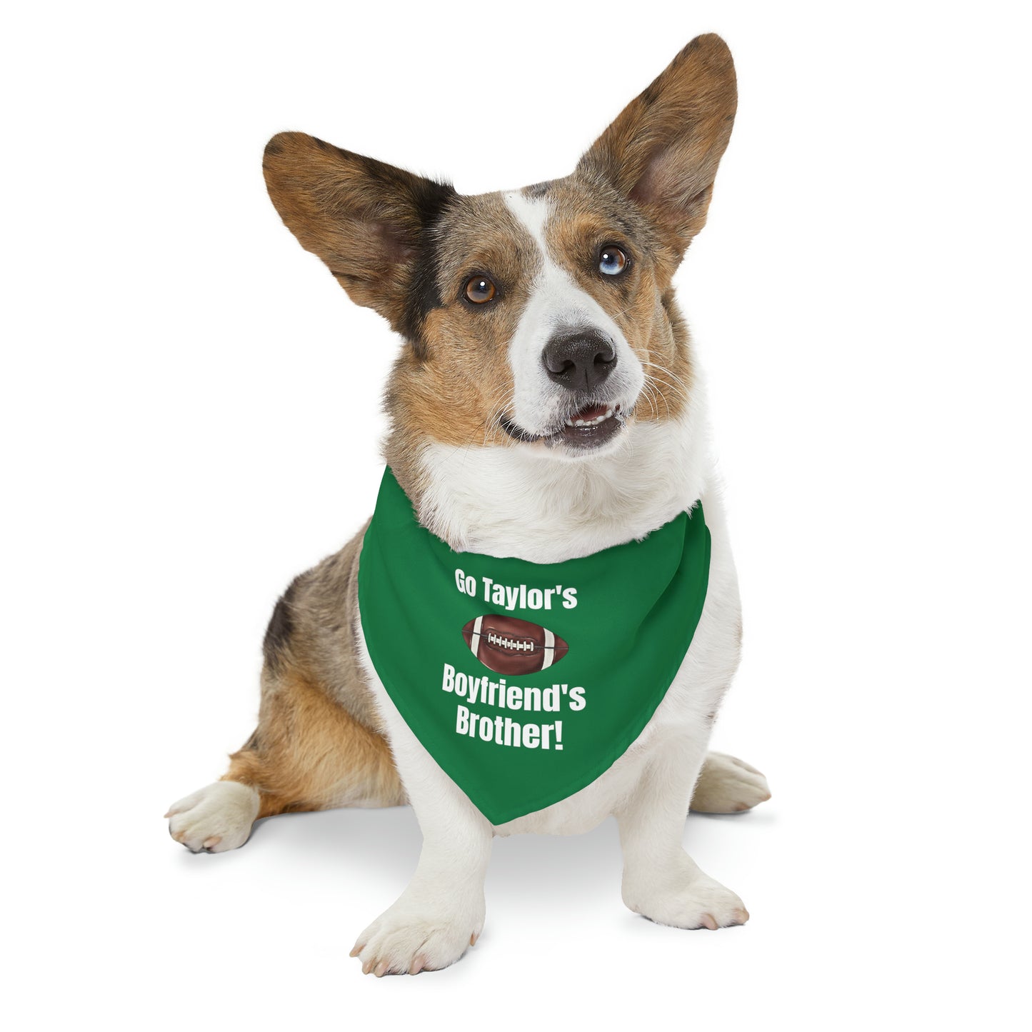 Go Taylor's Boyfriend's Brother Pet Bandana Collar - GREEN