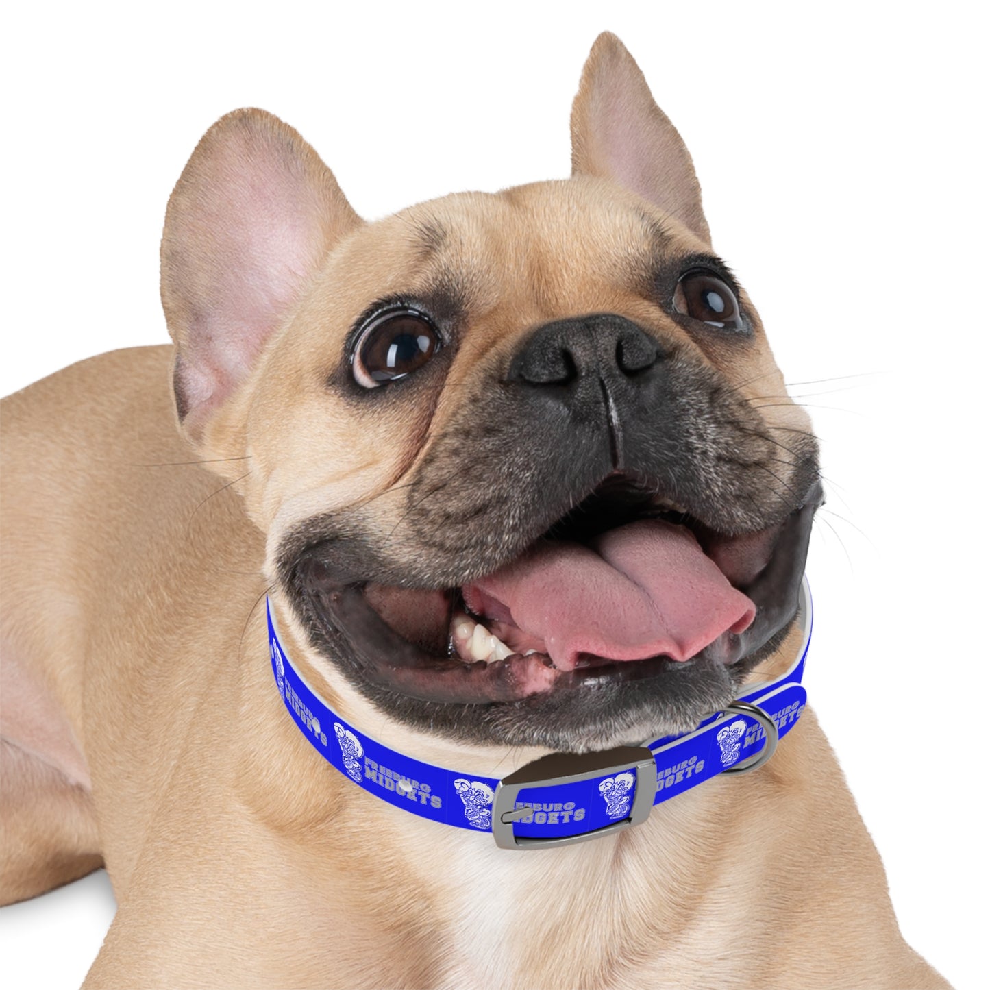 Freeburg Midgets Dog Collar