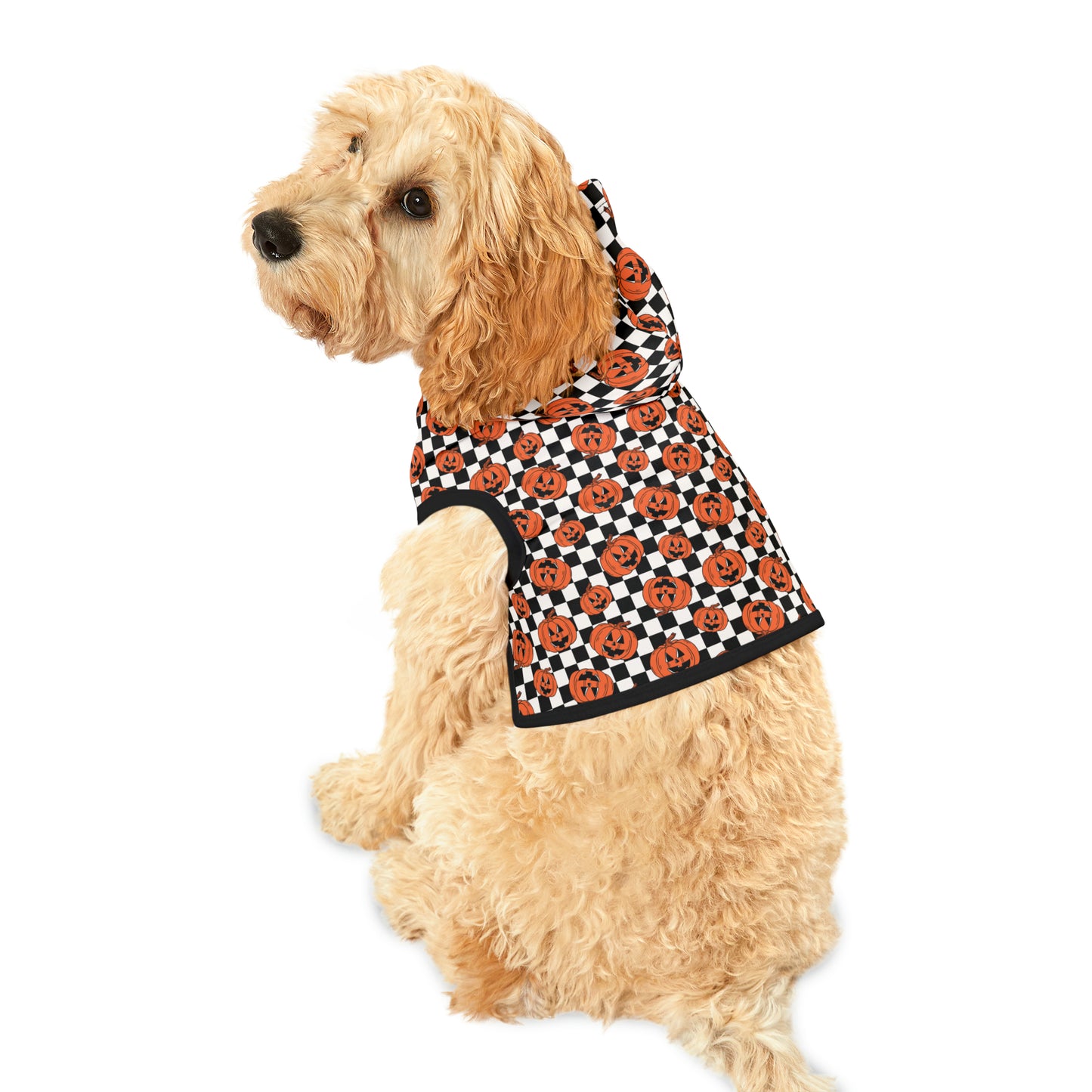 Halloween Jack-O-Lantern Pumpkin Pet Hoodie