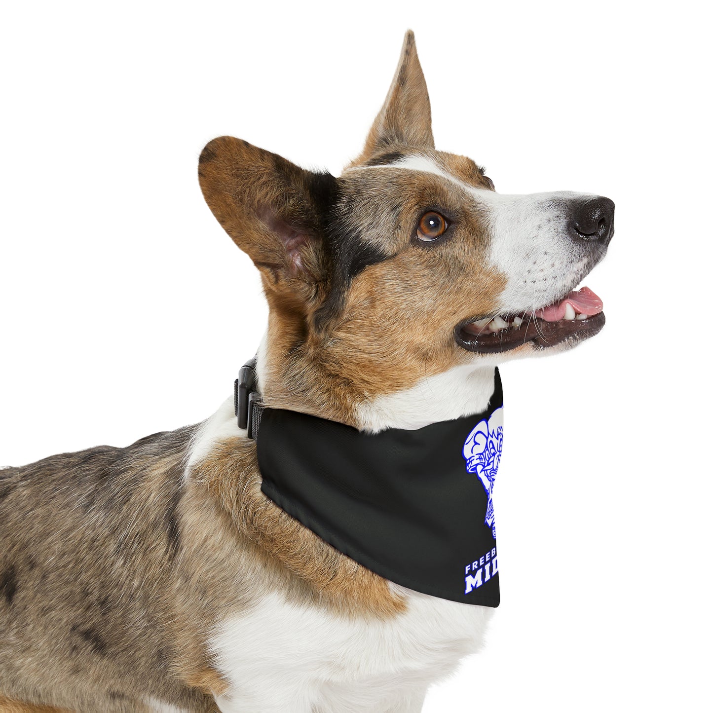 Freeburg Midget Pattern Pet Bandana Collar