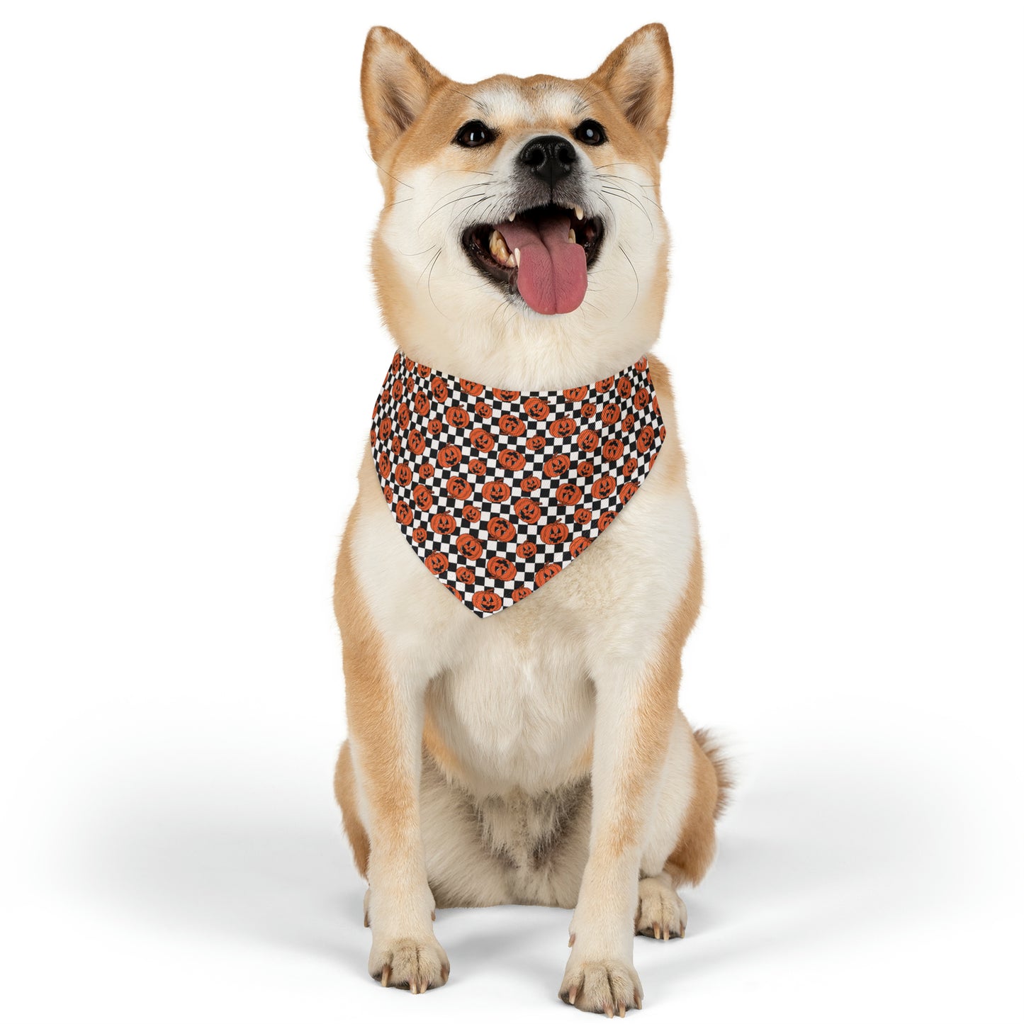 Halloween Jack-O-Lantern Pumpkin Pet Bandana Collar