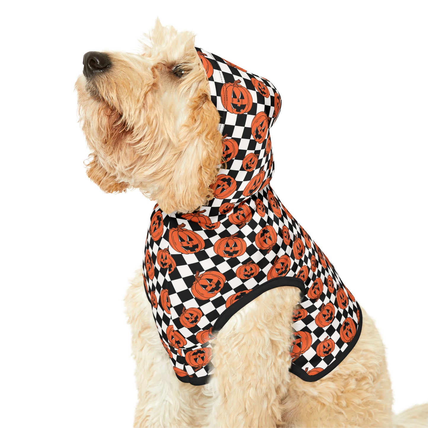 Halloween Jack-O-Lantern Pumpkin Pet Hoodie