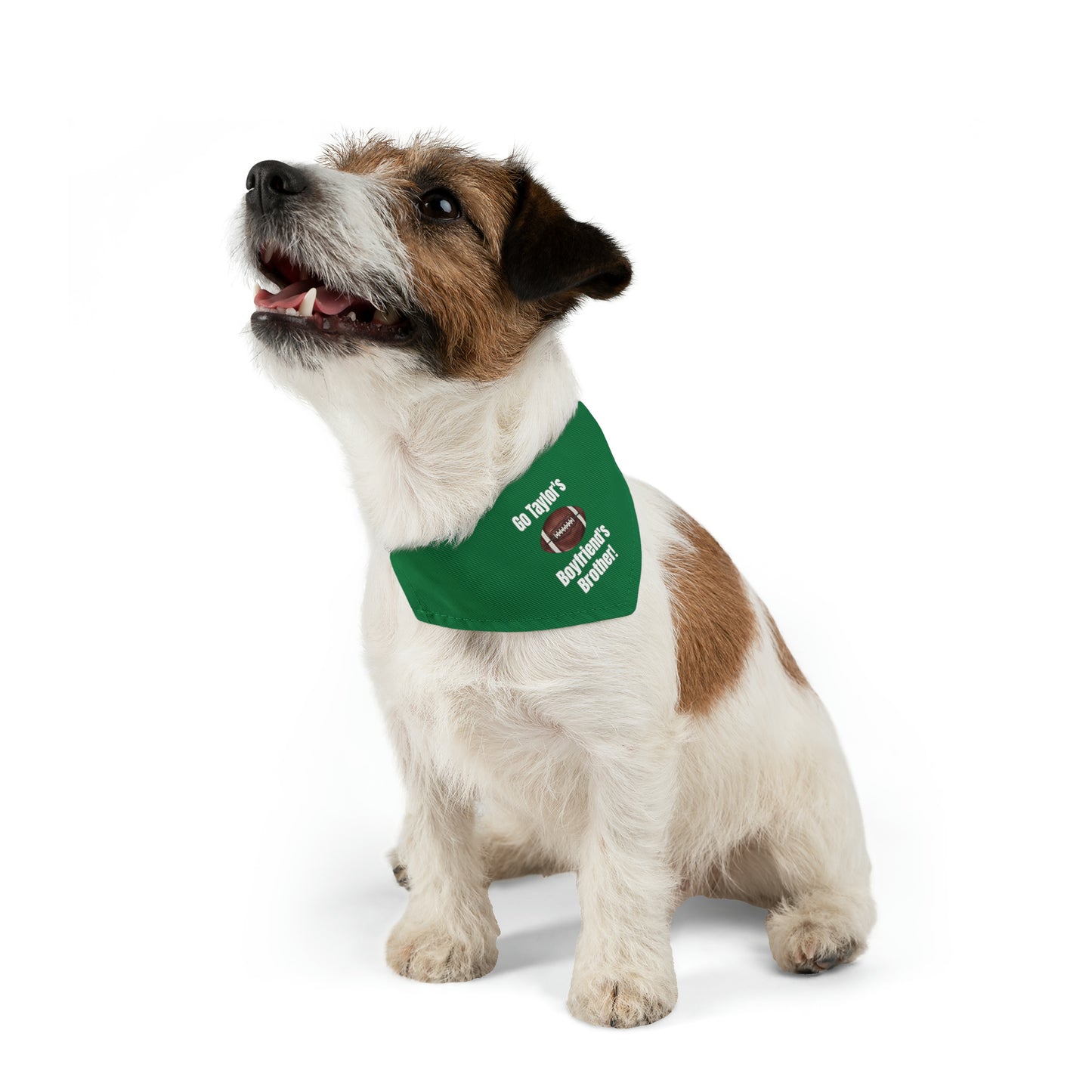 Go Taylor's Boyfriend's Brother Pet Bandana Collar - GREEN