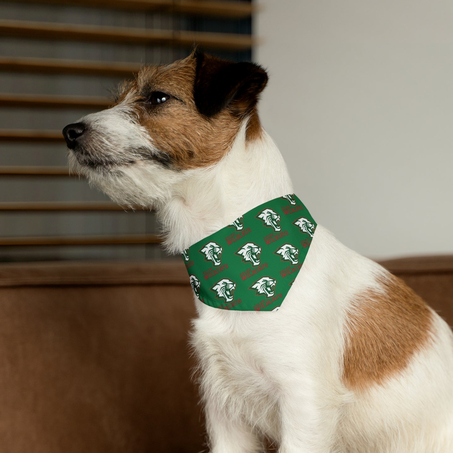 Salem Wildcats Pattern Pet Bandana Collar