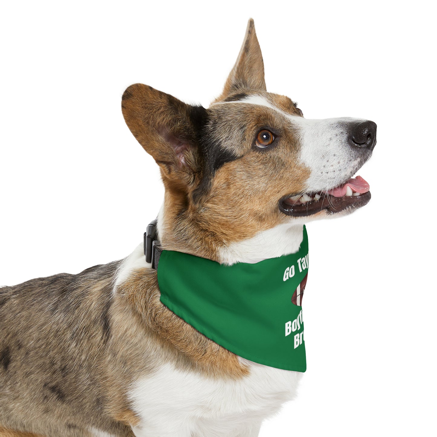 Go Taylor's Boyfriend's Brother Pet Bandana Collar - GREEN