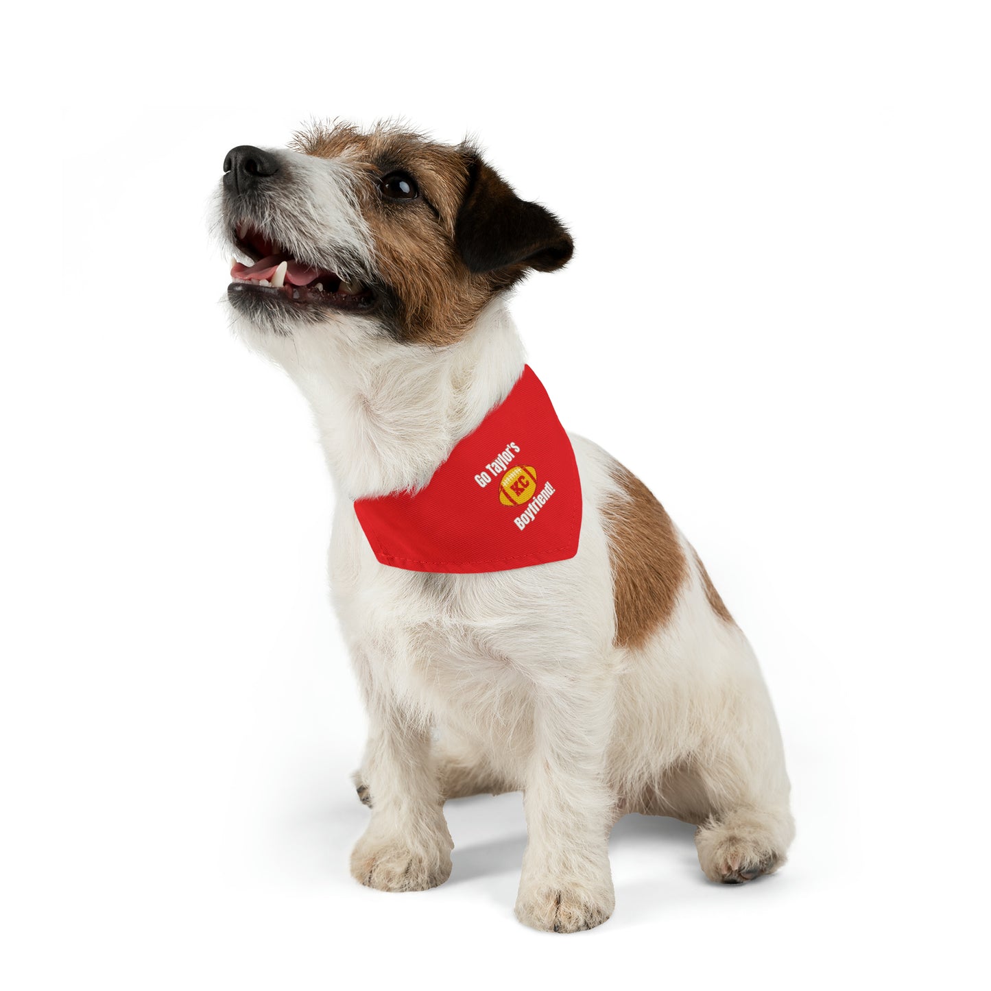 Go Taylor's Boyfriend Chiefs Pet Bandana Clip in Back Collar