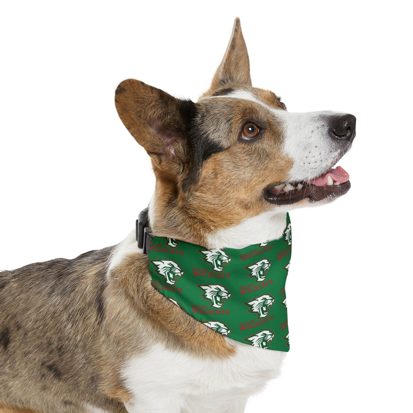 Salem Wildcats Pattern Pet Bandana Collar