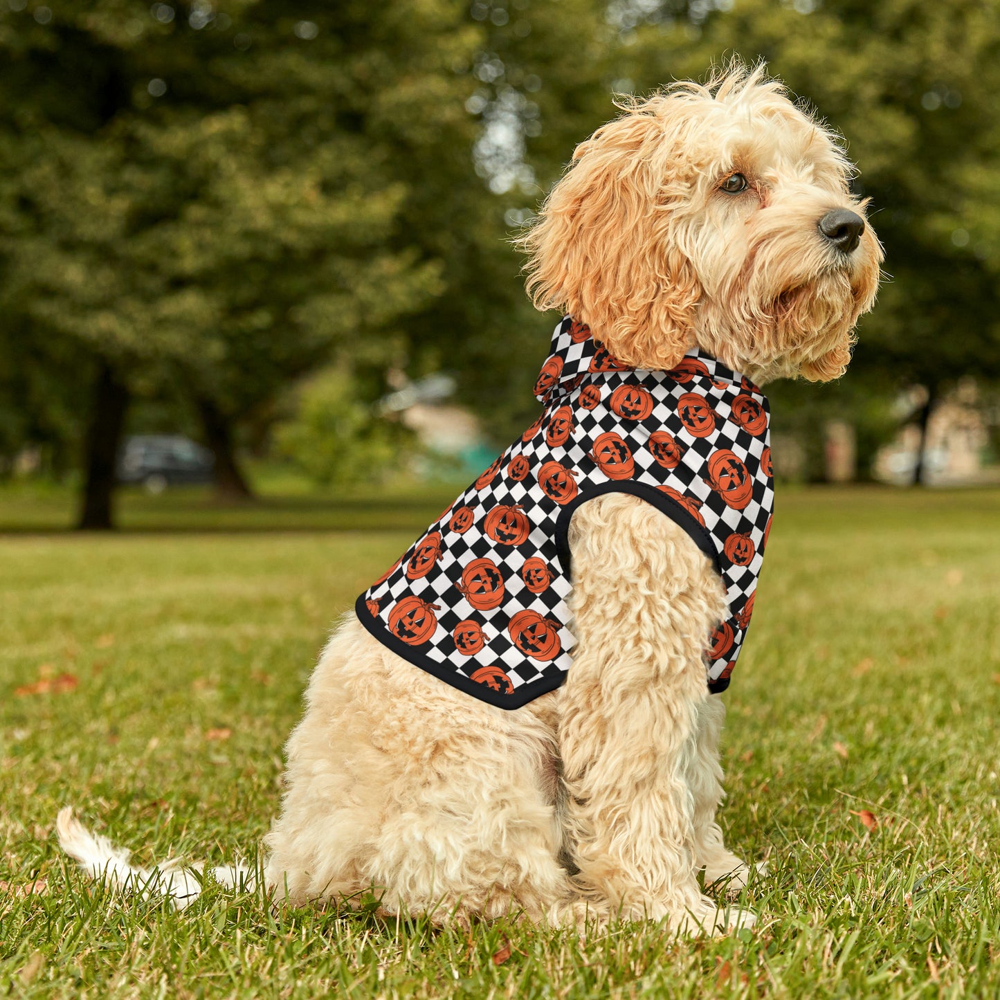 Halloween Jack-O-Lantern Pumpkin Pet Hoodie