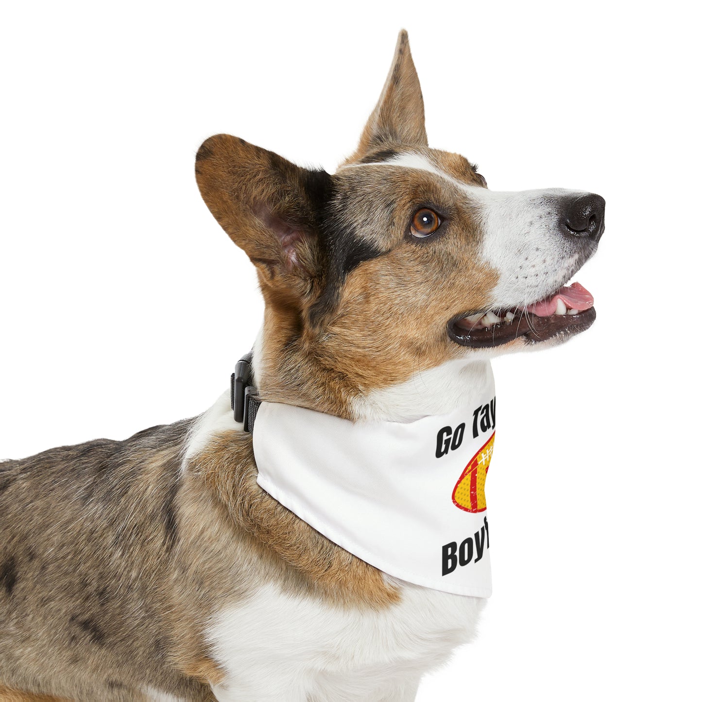 Go Taylor's Boyfriend Swift and Kelce Pet Bandana Collar - WHITE