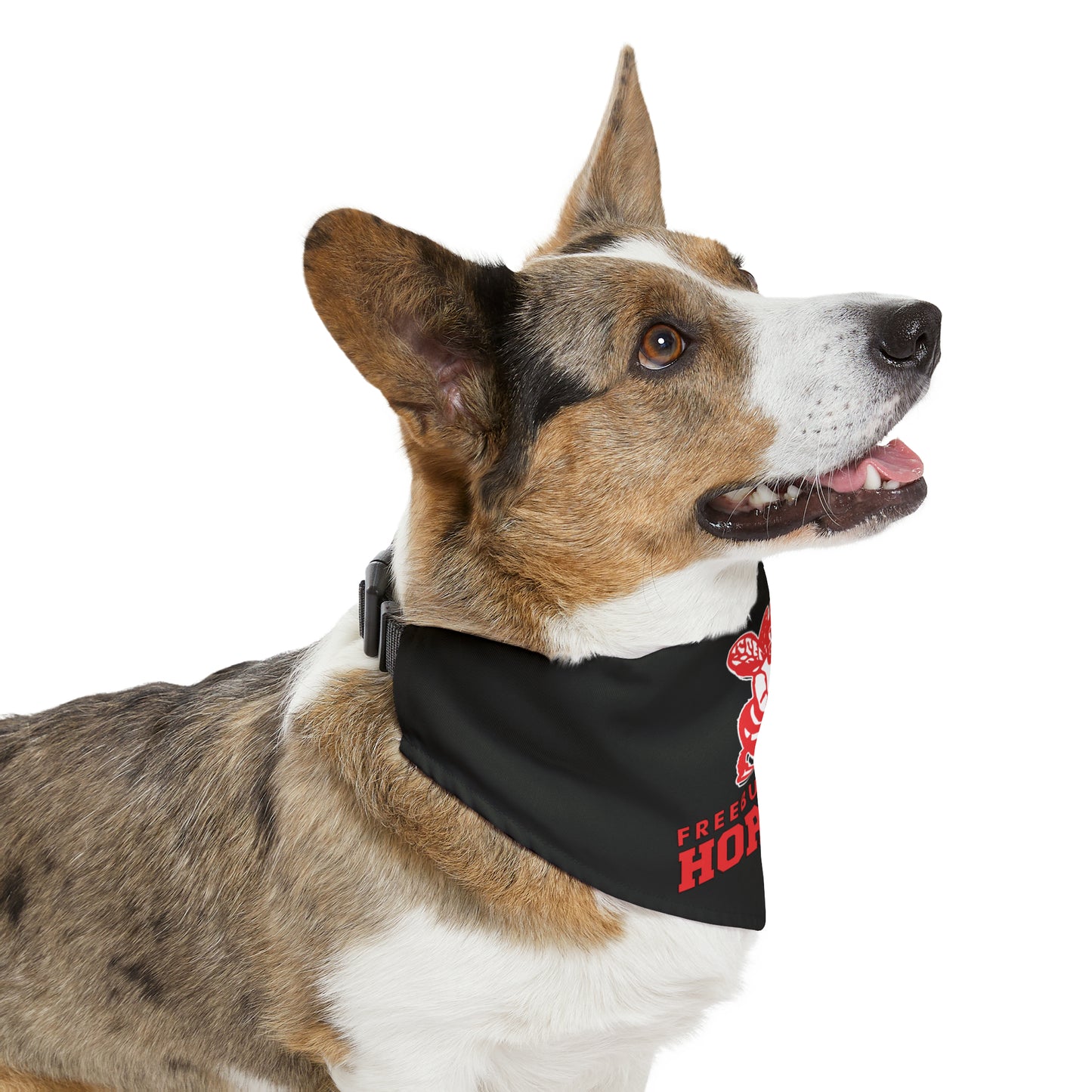 Freeburg Hornets Pet Bandana Collar