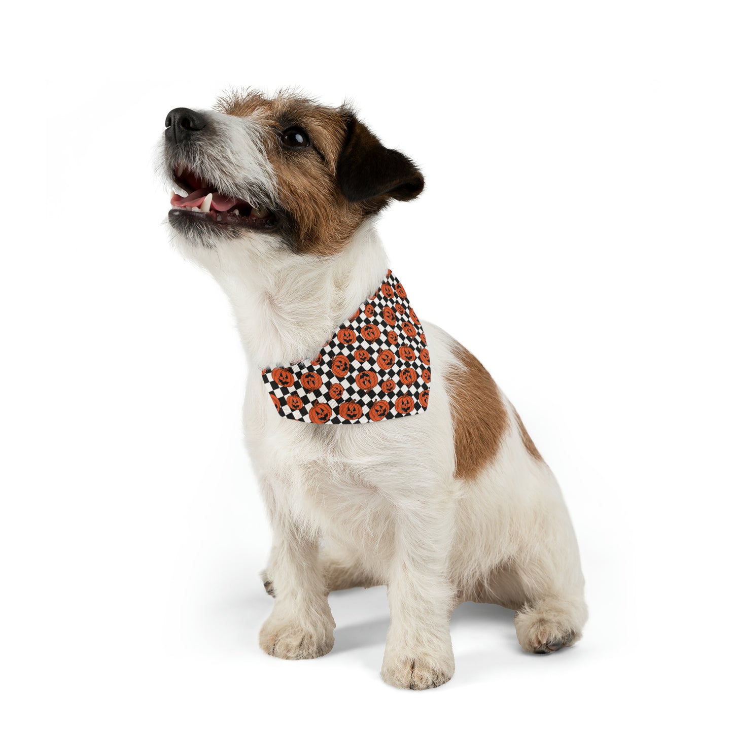 Halloween Jack-O-Lantern Pumpkin Pet Bandana Collar