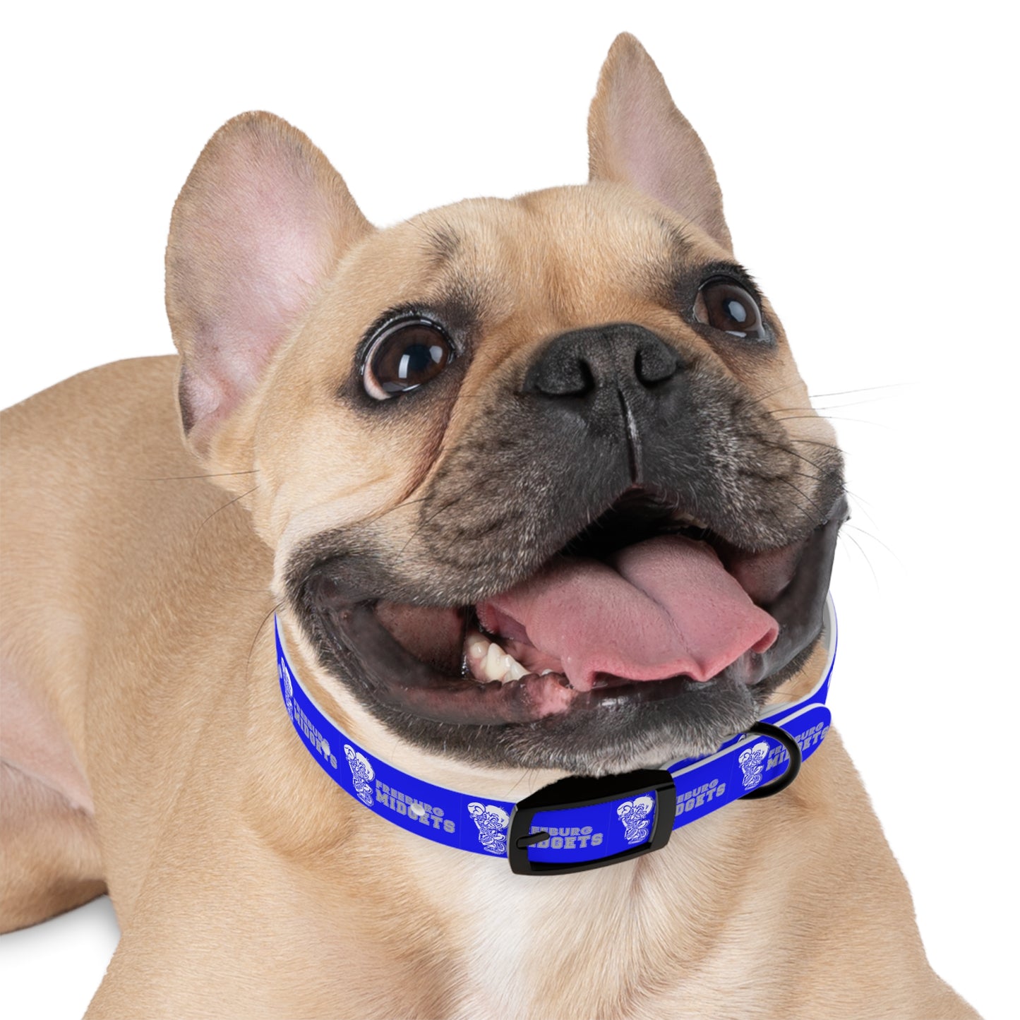 Freeburg Midgets Dog Collar