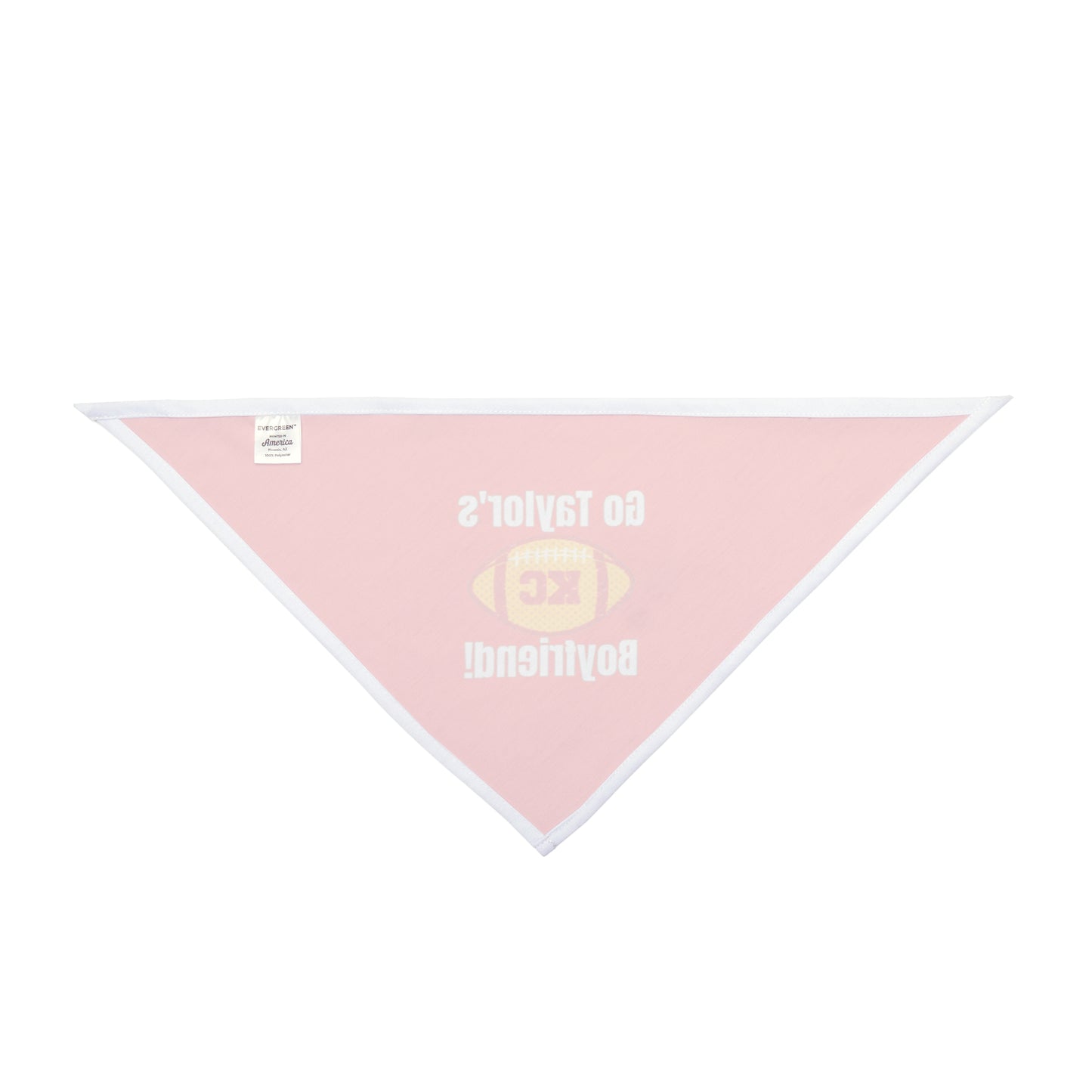 Go Taylor's Boyfriend Regular Tie Pet Bandana